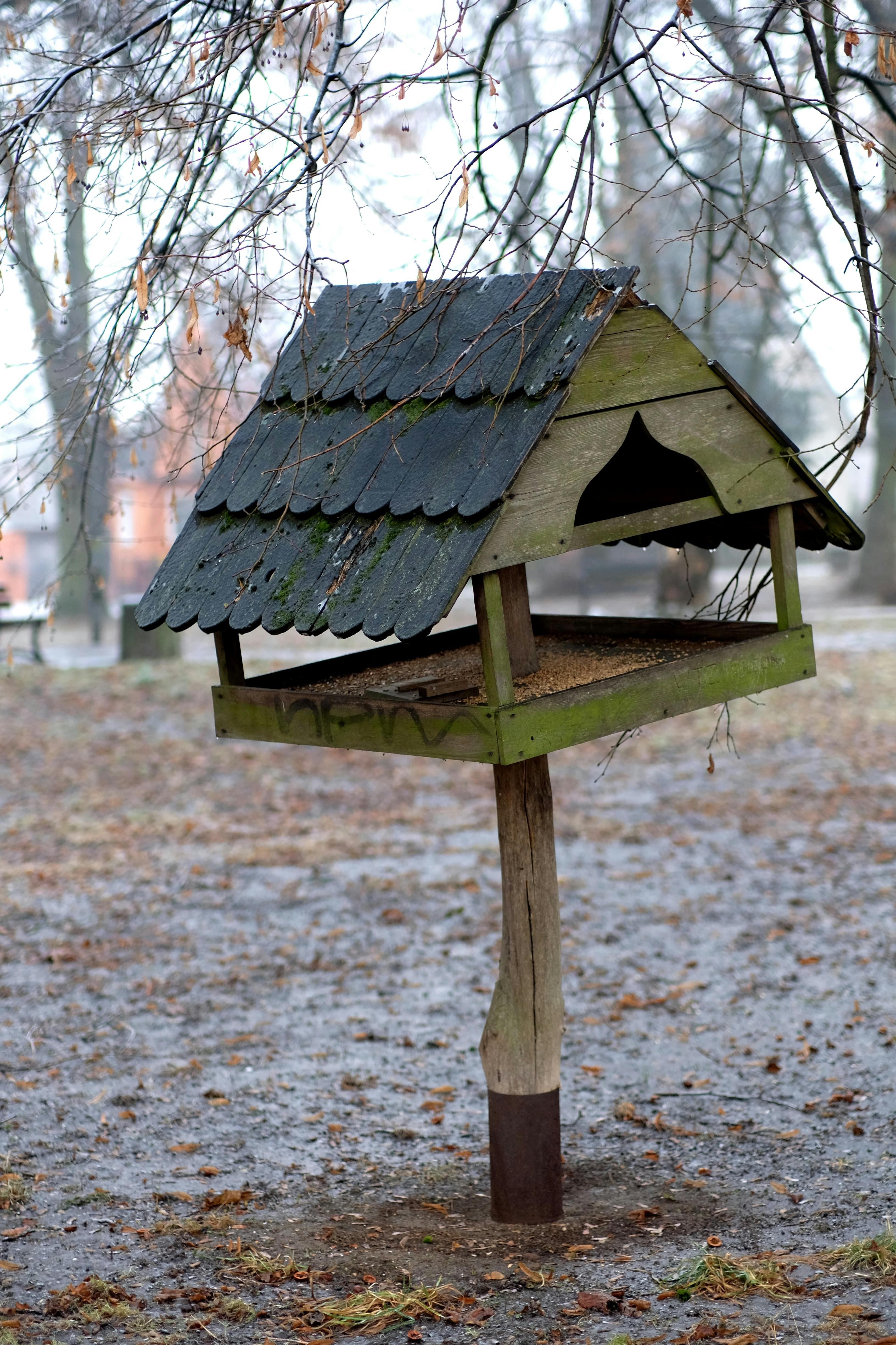 бесплатная Простая деревянная кормушка для птиц, стоящая в зимнем парке среди опавших листьев. Стоковое фото