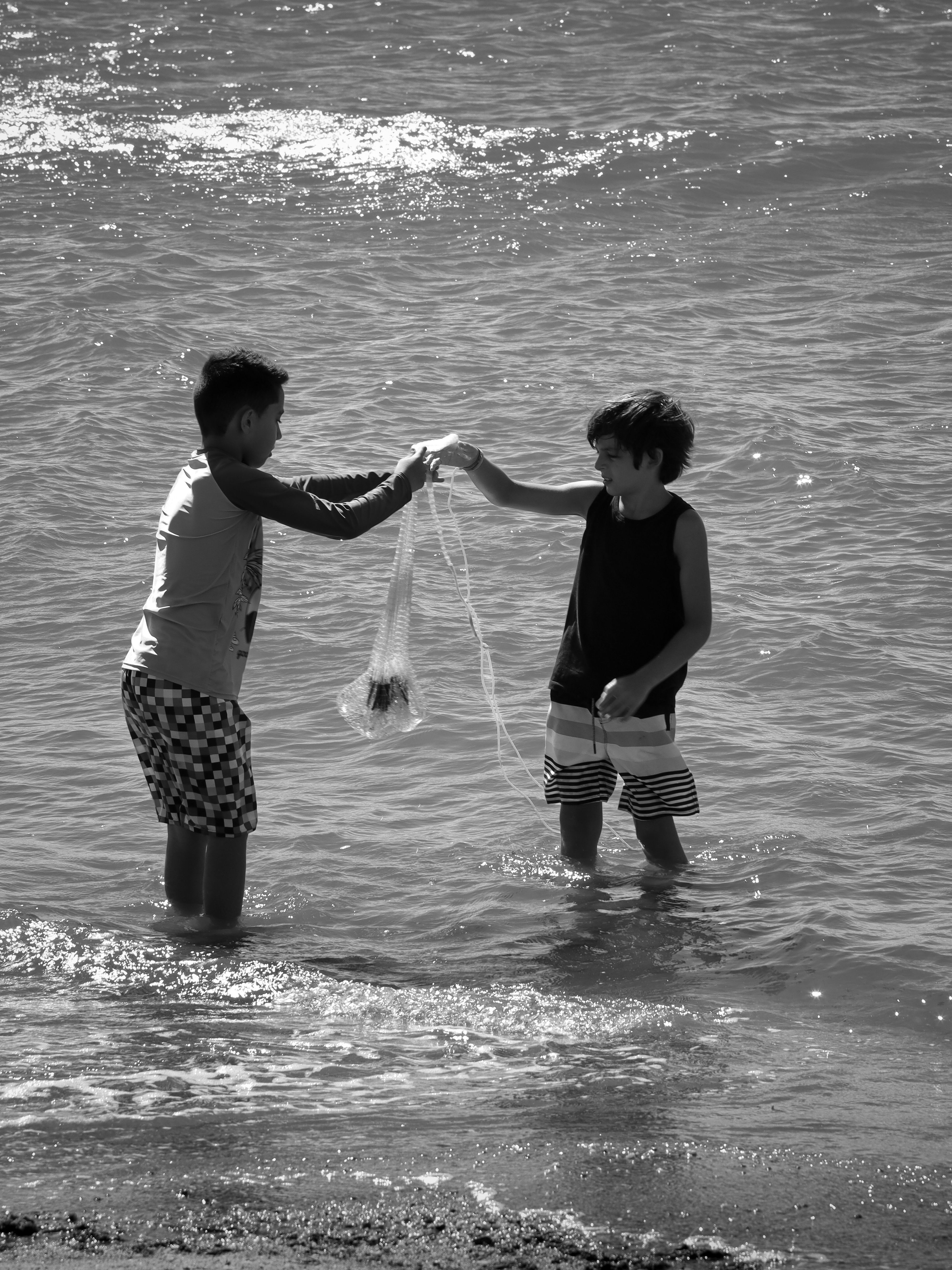 Children Playing with Fishing Net at the Beach · Free Stock Photo