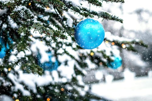 Free Blue Bauble on Green Christmas Tree Stock Photo
