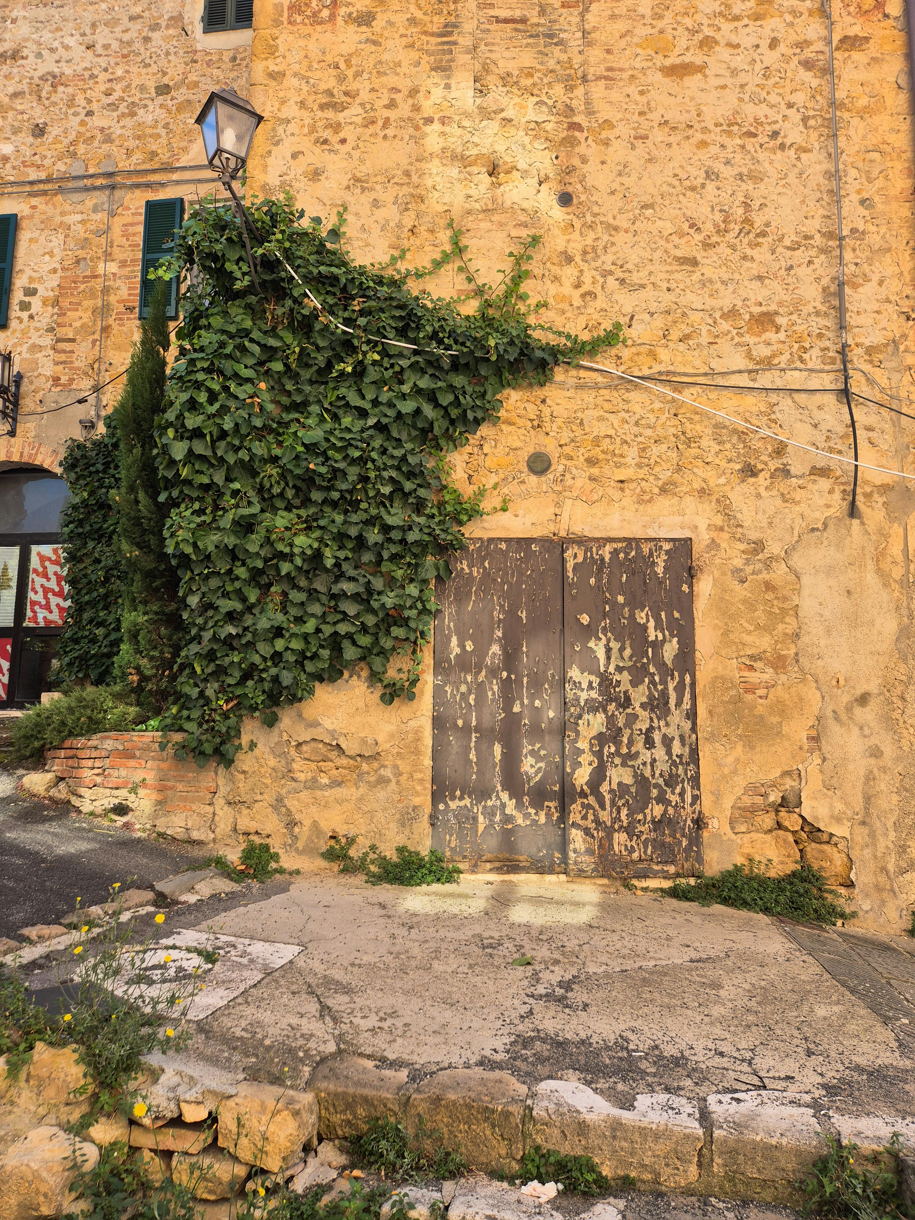 Free Charming rustic stone house facade covered with lush ivy in a quiet corner of Tuscany, Italy. Stock Photo
