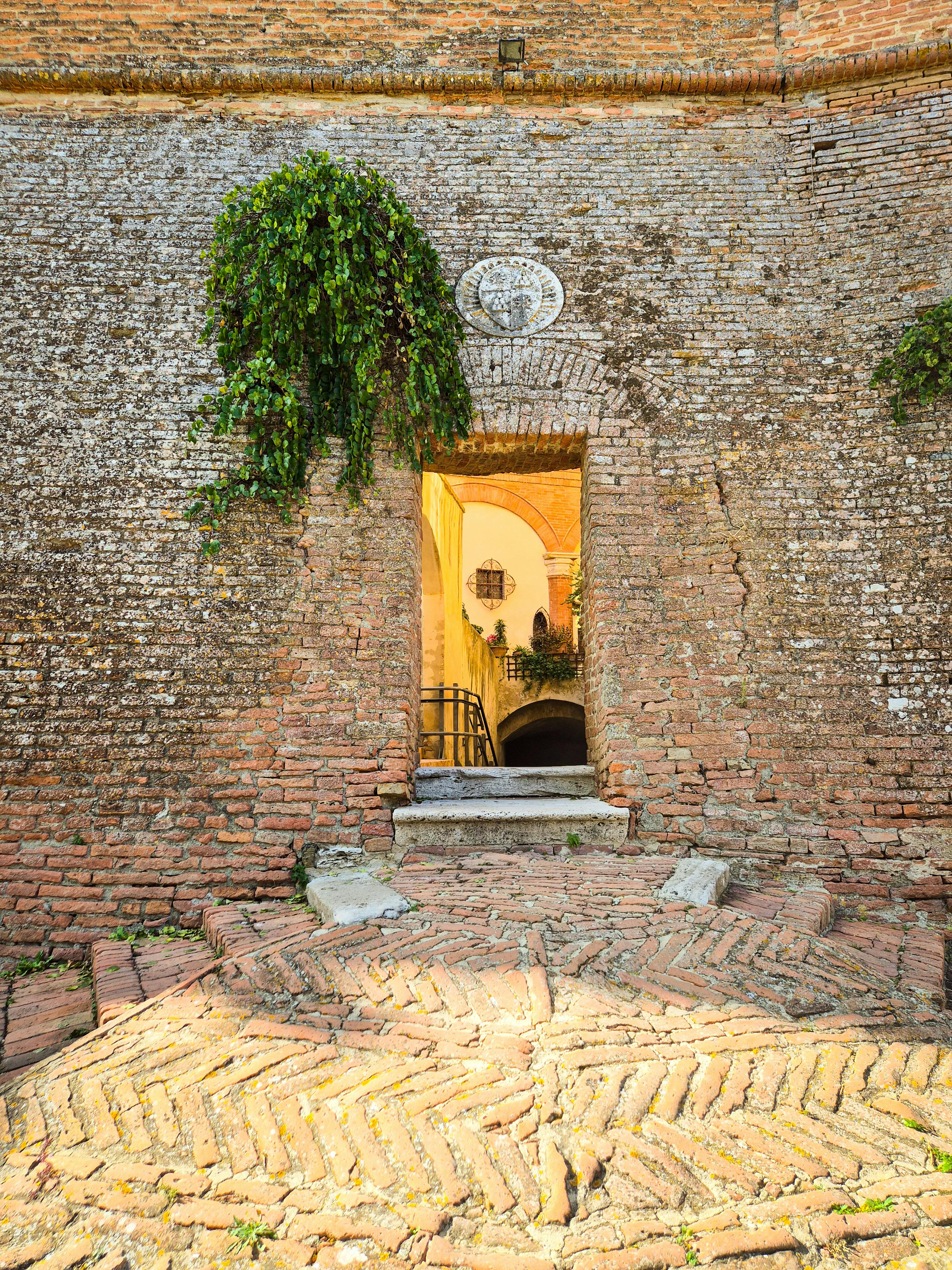 Δωρεάν Παλιά τούβλινη αψίδα με κισσό που οδηγεί σε μια ηλιόλουστη αυλή σε ένα ιστορικό κτίριο. Φωτογραφία από στοκ φωτογραφιών