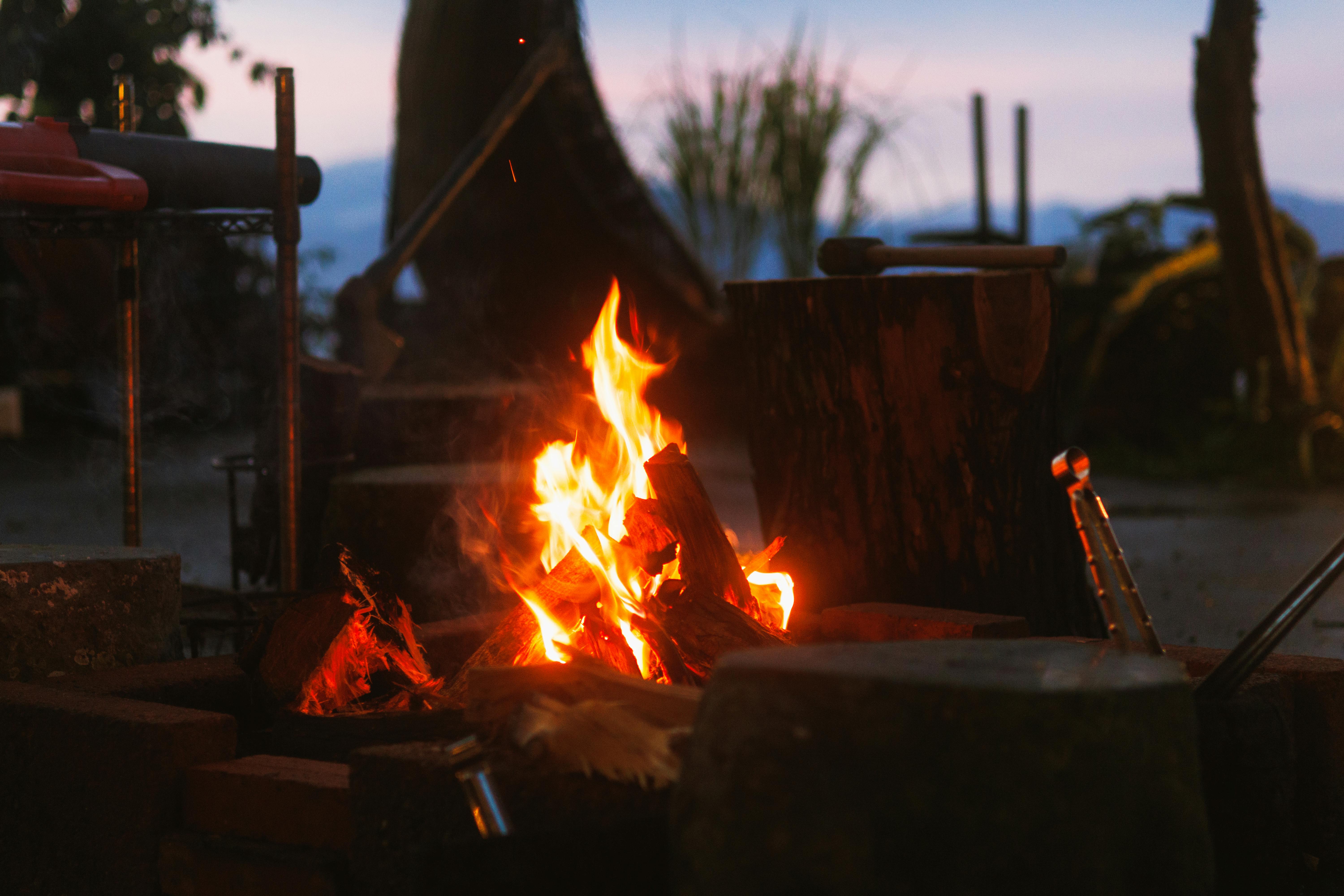 Gratis Varmt bål blafrer utendørs i skumringen, omgitt av natur og tømmerstokker. Arkivbilde