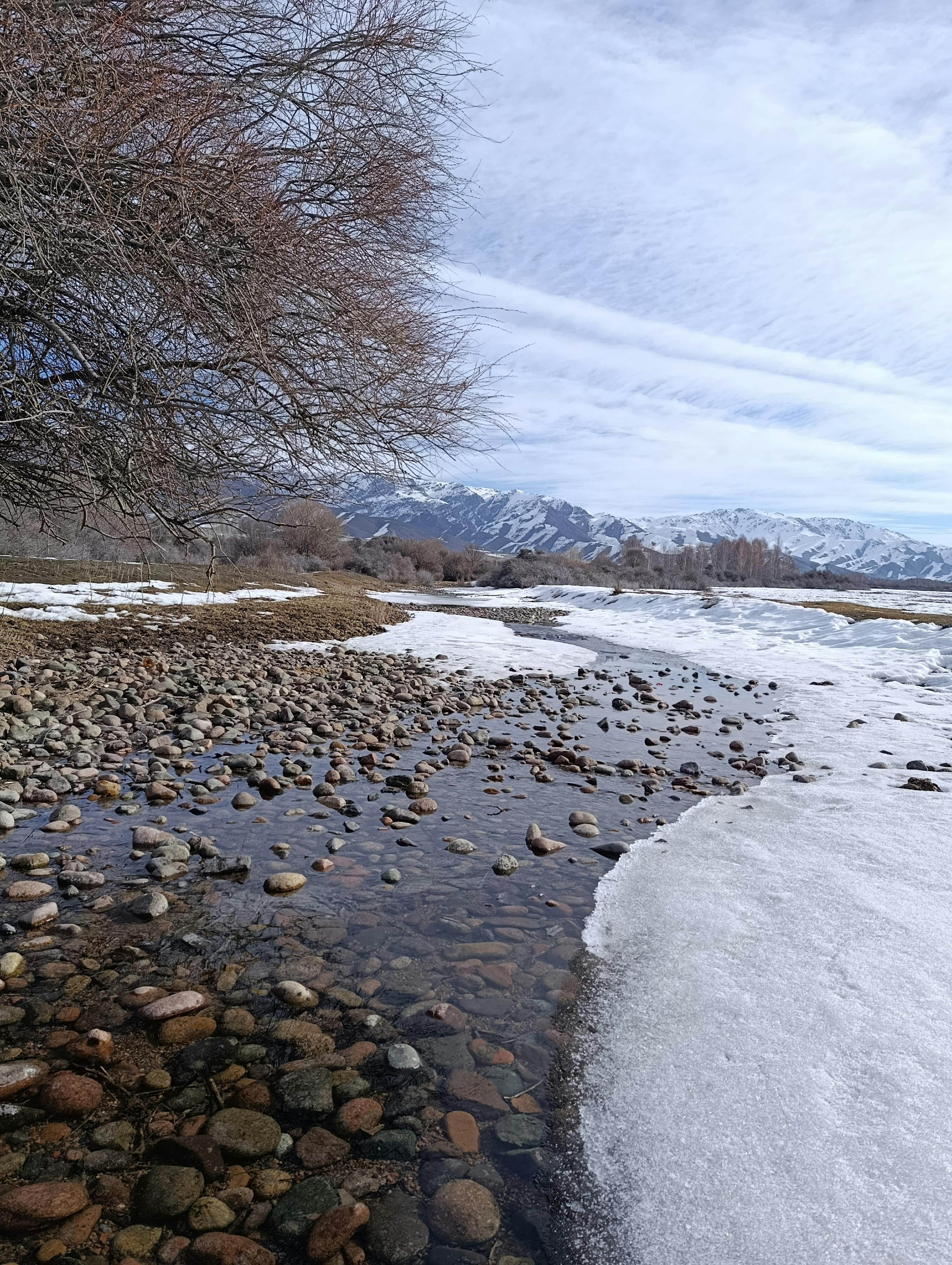Kostenlos Kostenloses Stock Foto zu äste, baum, berge Stock-Foto