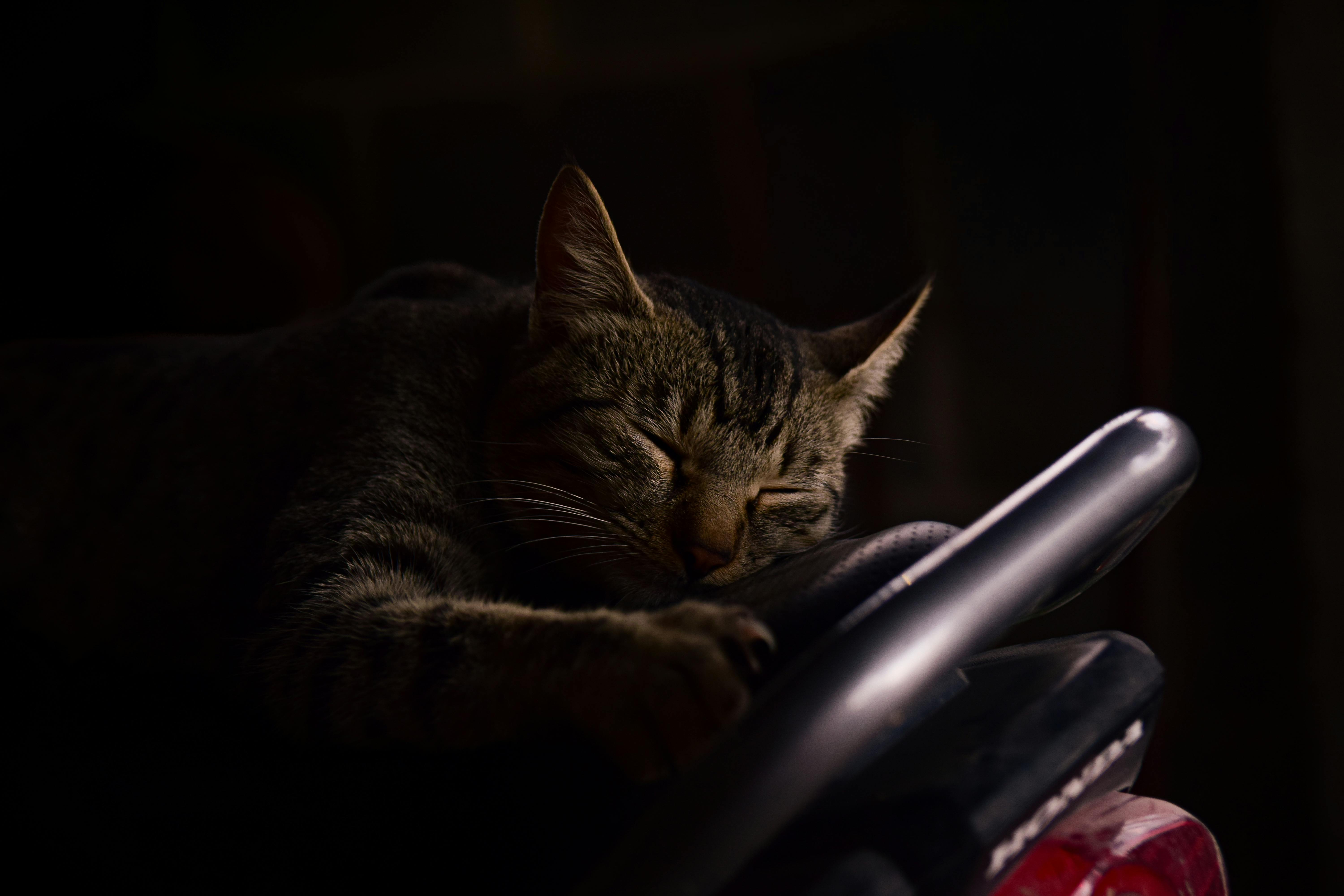 ingyenes Egy cirmos macska békésen alszik egy motoron sötét környezetben, nyugalmat sugallva. Stockfotó