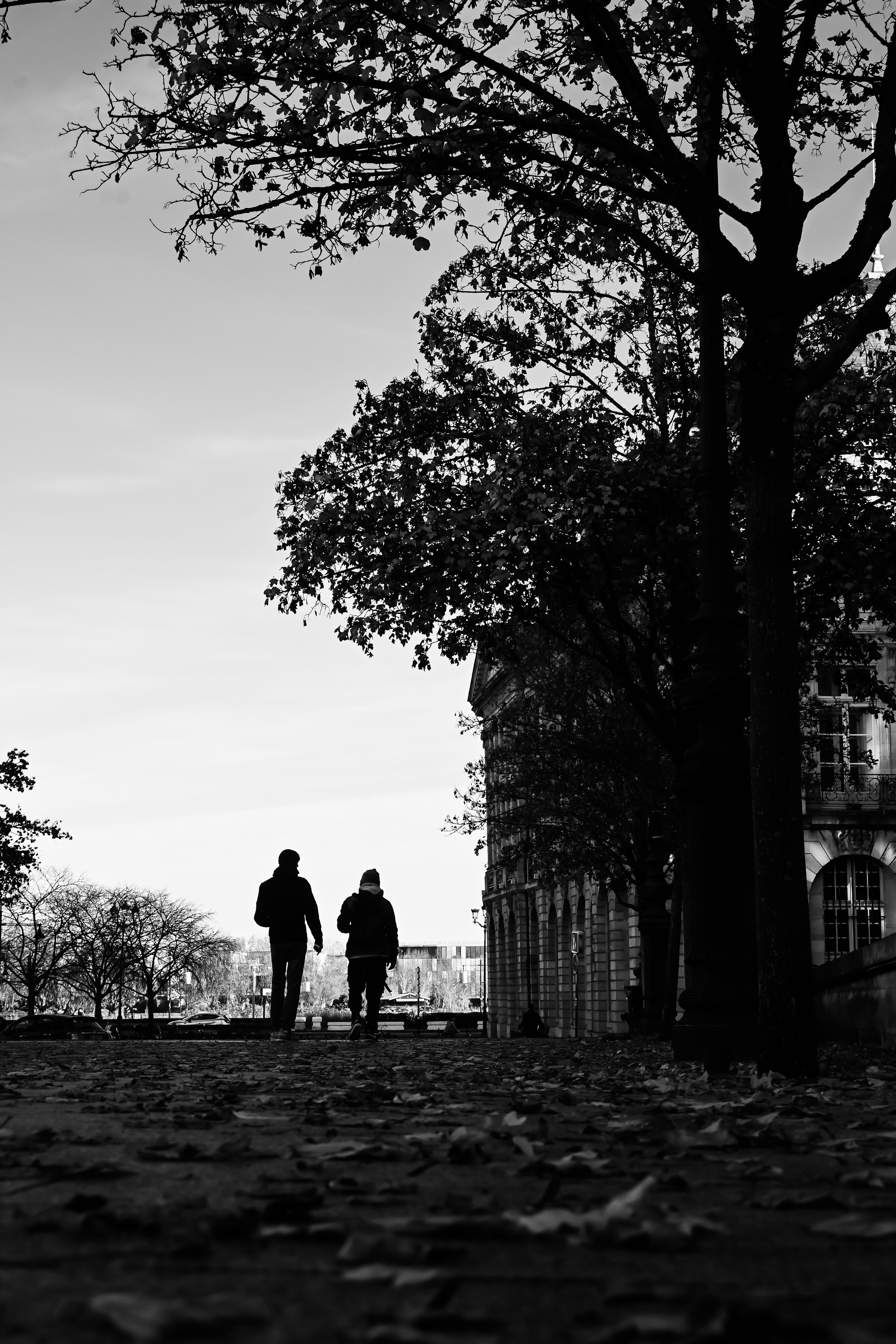 Black and white image of two people walking along a tree-lined path in autumn.