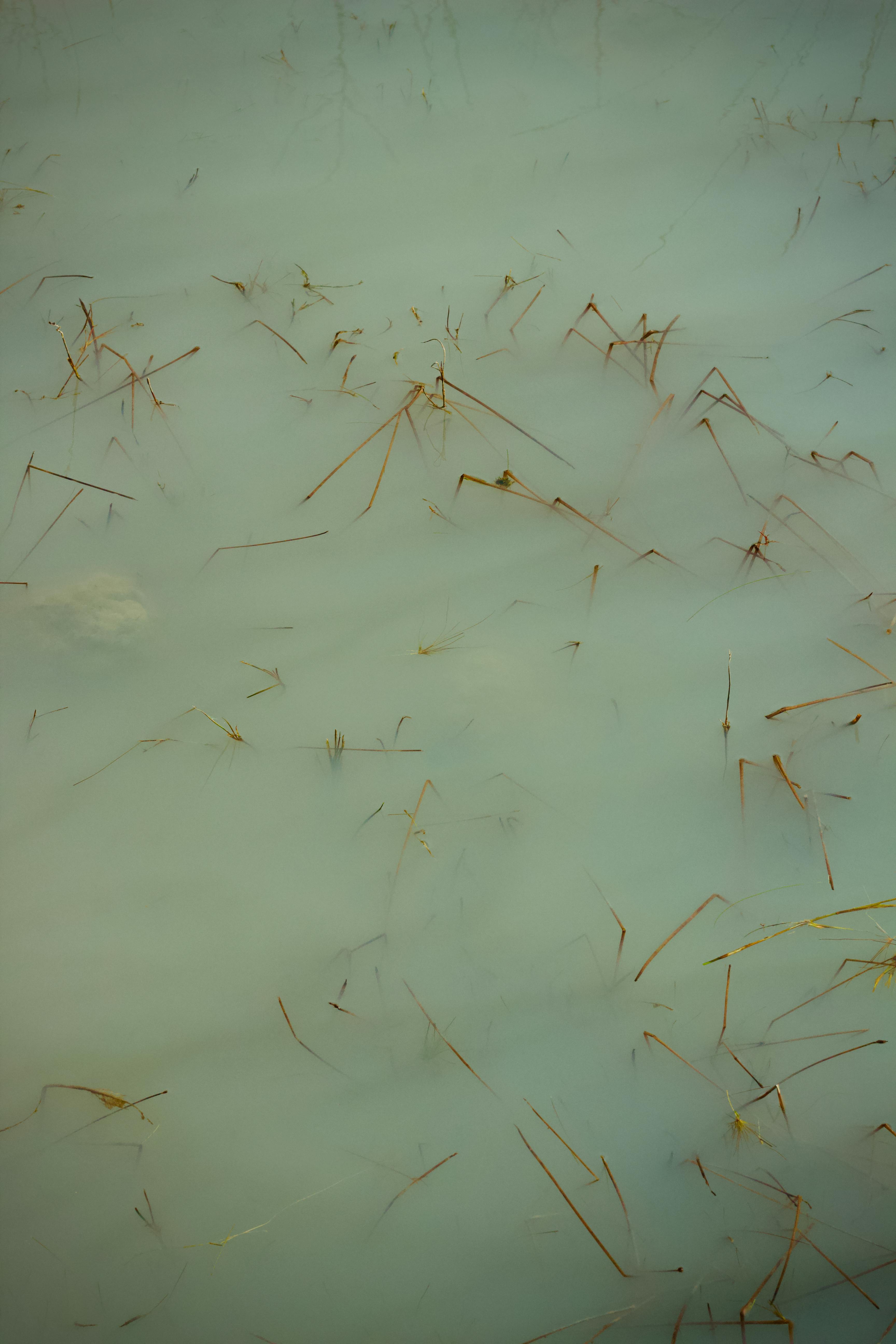 Gratis En fredfull utsikt over vann med nedsenket tørt gress, som skaper et kunstnerisk uttrykk. Arkivbilde