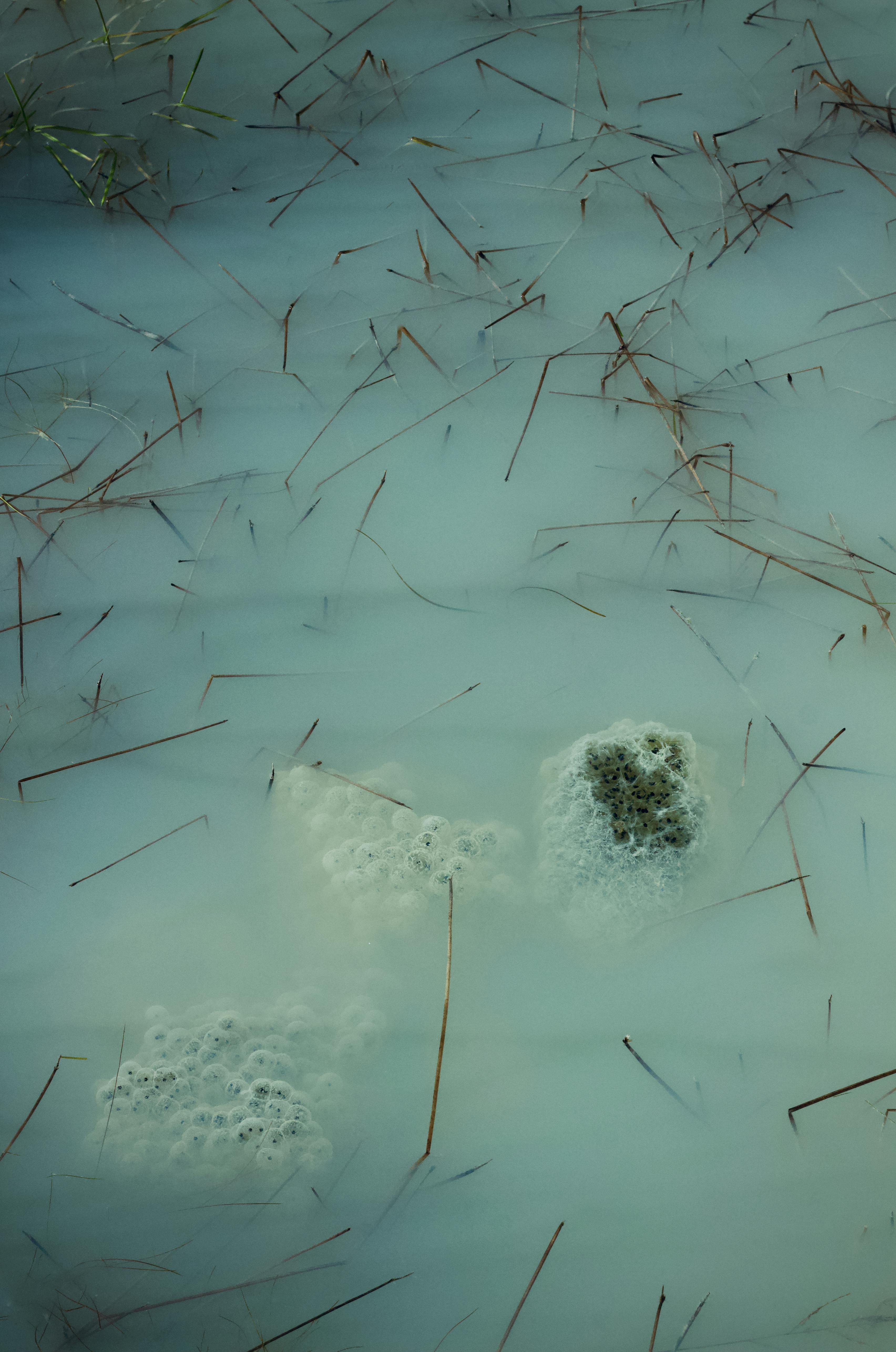 Kostenlos Kostenloses Stock Foto zu abstrakt, ätherisch, außen landschaft Stock-Foto