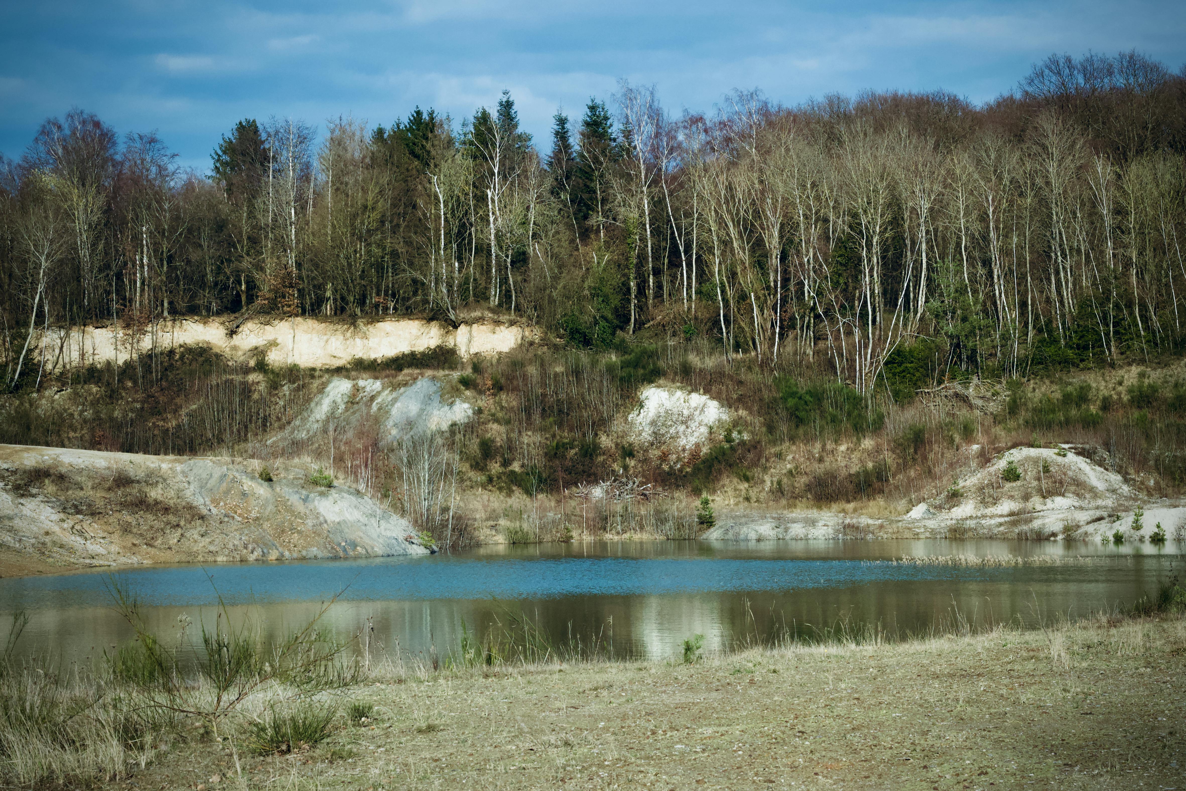 Δωρεάν στοκ φωτογραφιών με άγονος, άεργος, άκρη του δάσους Φωτογραφία από στοκ φωτογραφιών