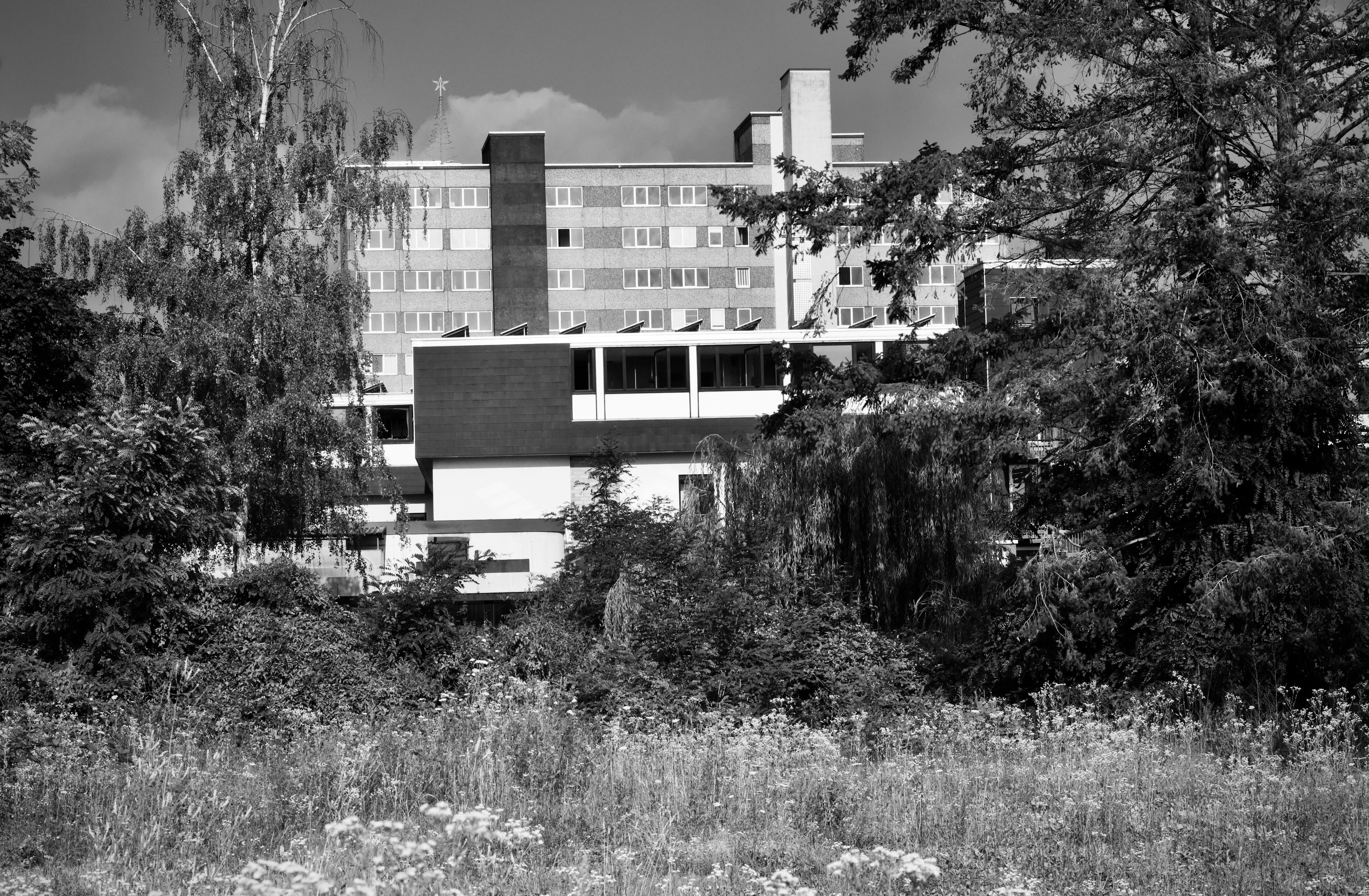 無料 木々や草に囲まれた近代的な建物の白黒写真。 写真素材