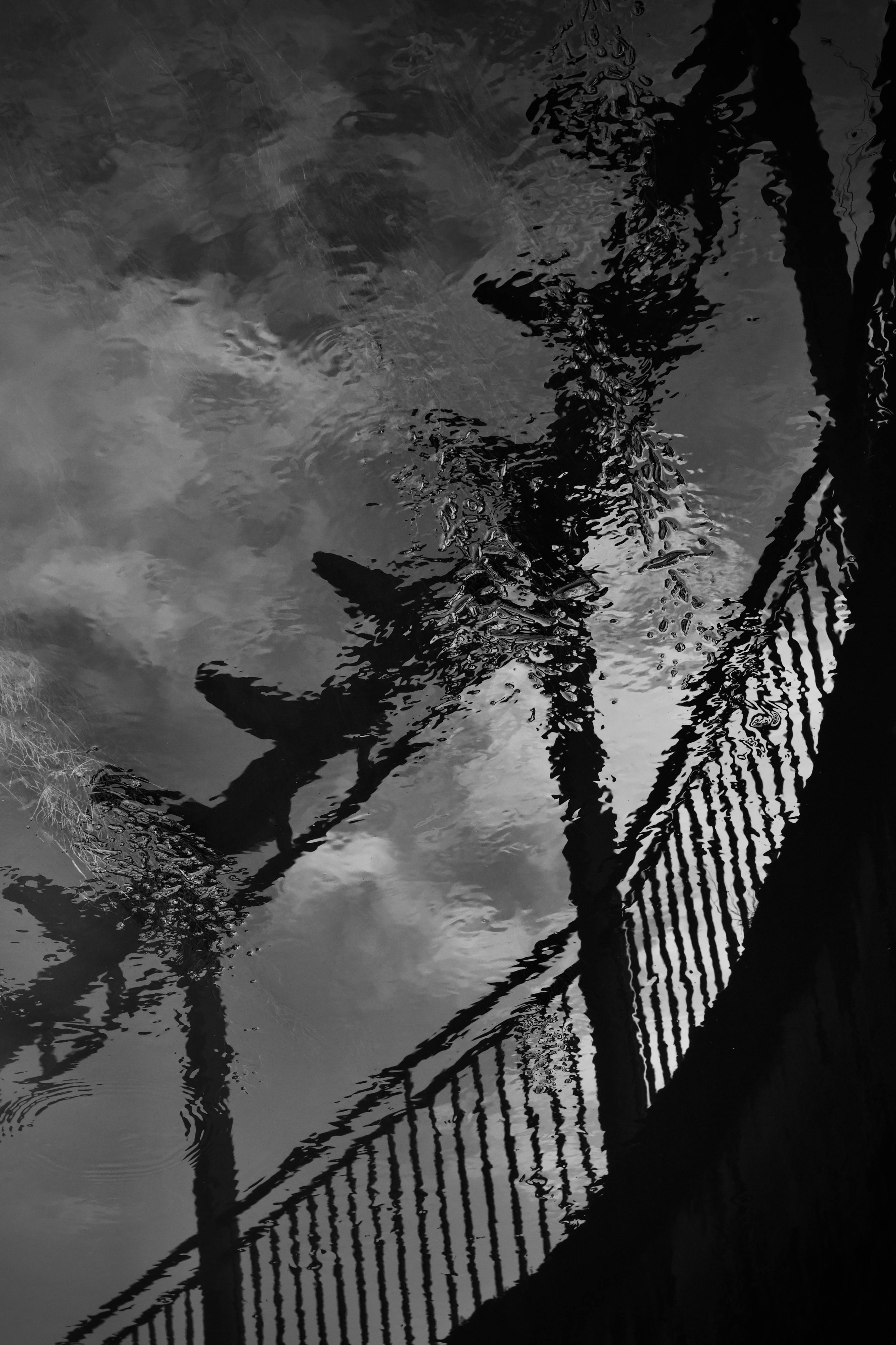 De franc Una foto en blanc i negre que captura el reflex abstracte d'una tanca a l'aigua, creant un aspecte texturat. Foto d'estoc