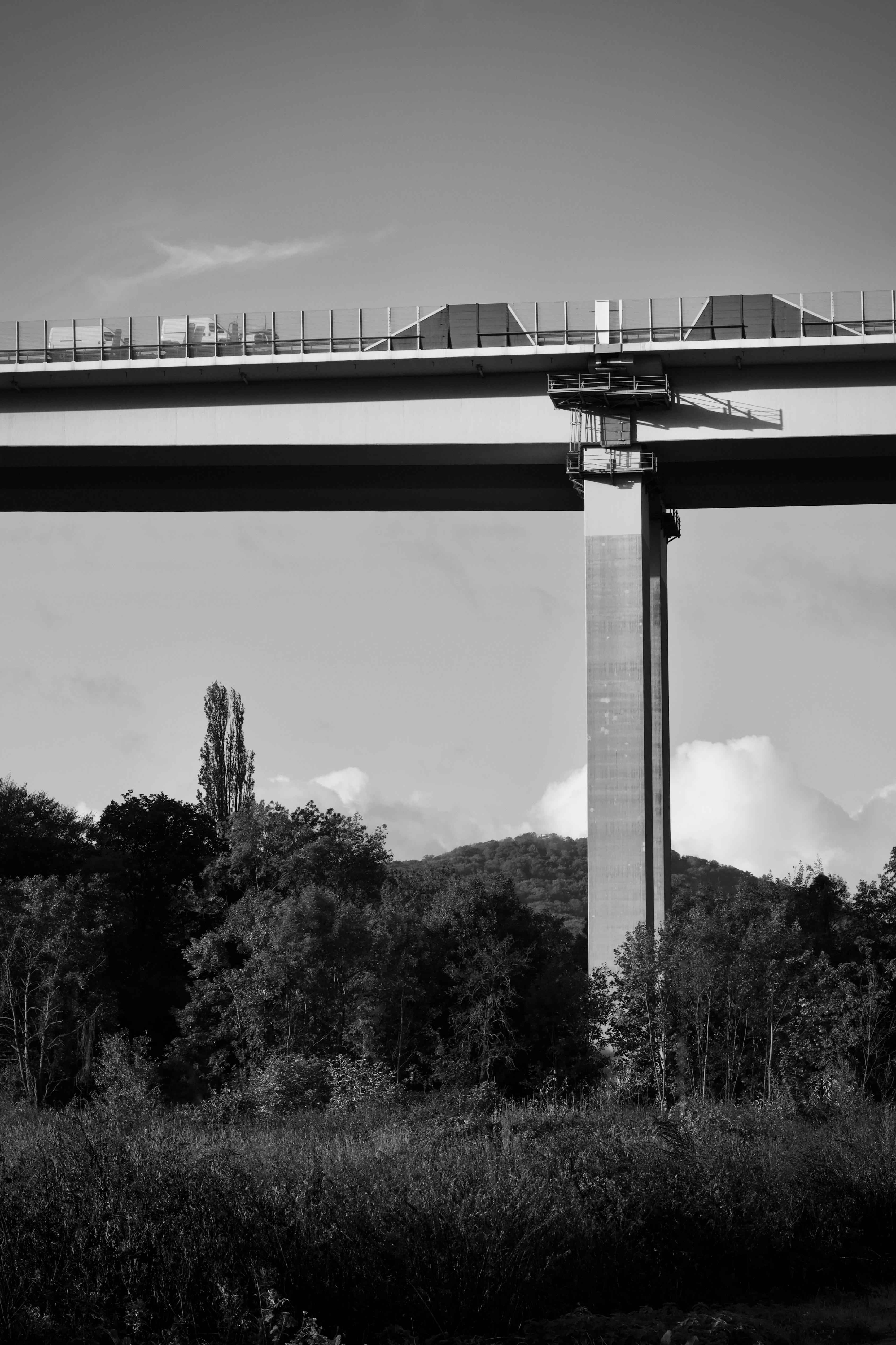 Δωρεάν Μια εντυπωσιακή ασπρόμαυρη φωτογραφία μιας υπερυψωμένης γέφυρας αυτοκινητόδρομου μέσα στη φύση, που δημιουργεί μια κλασική αντίθεση. Φωτογραφία από στοκ φωτογραφιών