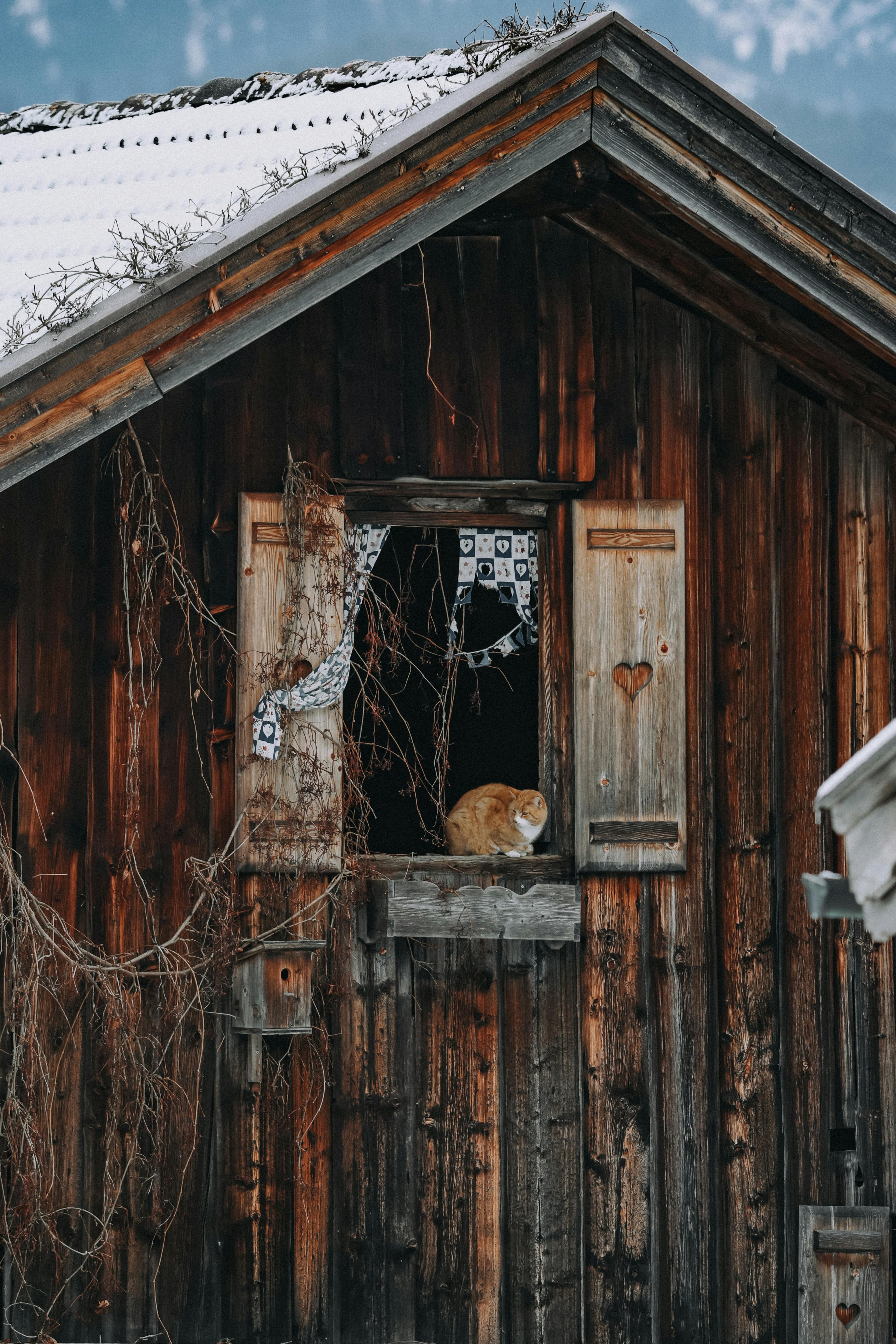 Δωρεάν στοκ φωτογραφιών με saalfelden, saalfelden am steinernen meer, salzburg Φωτογραφία από στοκ φωτογραφιών