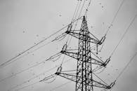 Birds Perched on Power Line Silhouette