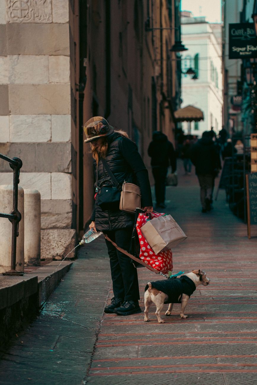 Person walking a dog while carrying bags on a city street