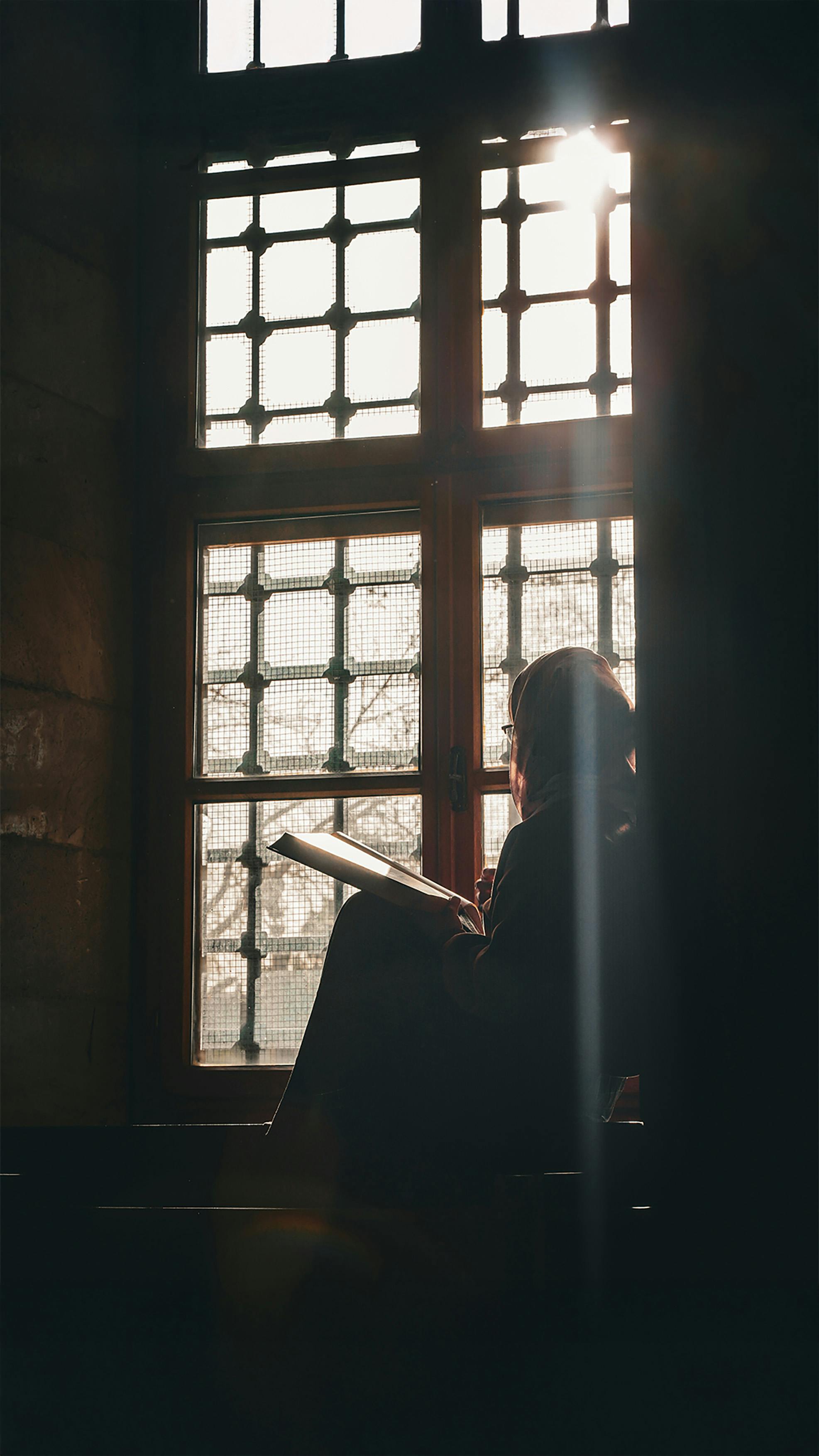 Free A woman reading by a sunny window, casting a silhouette against the warm light in Adana, Türkiye. Stock Photo