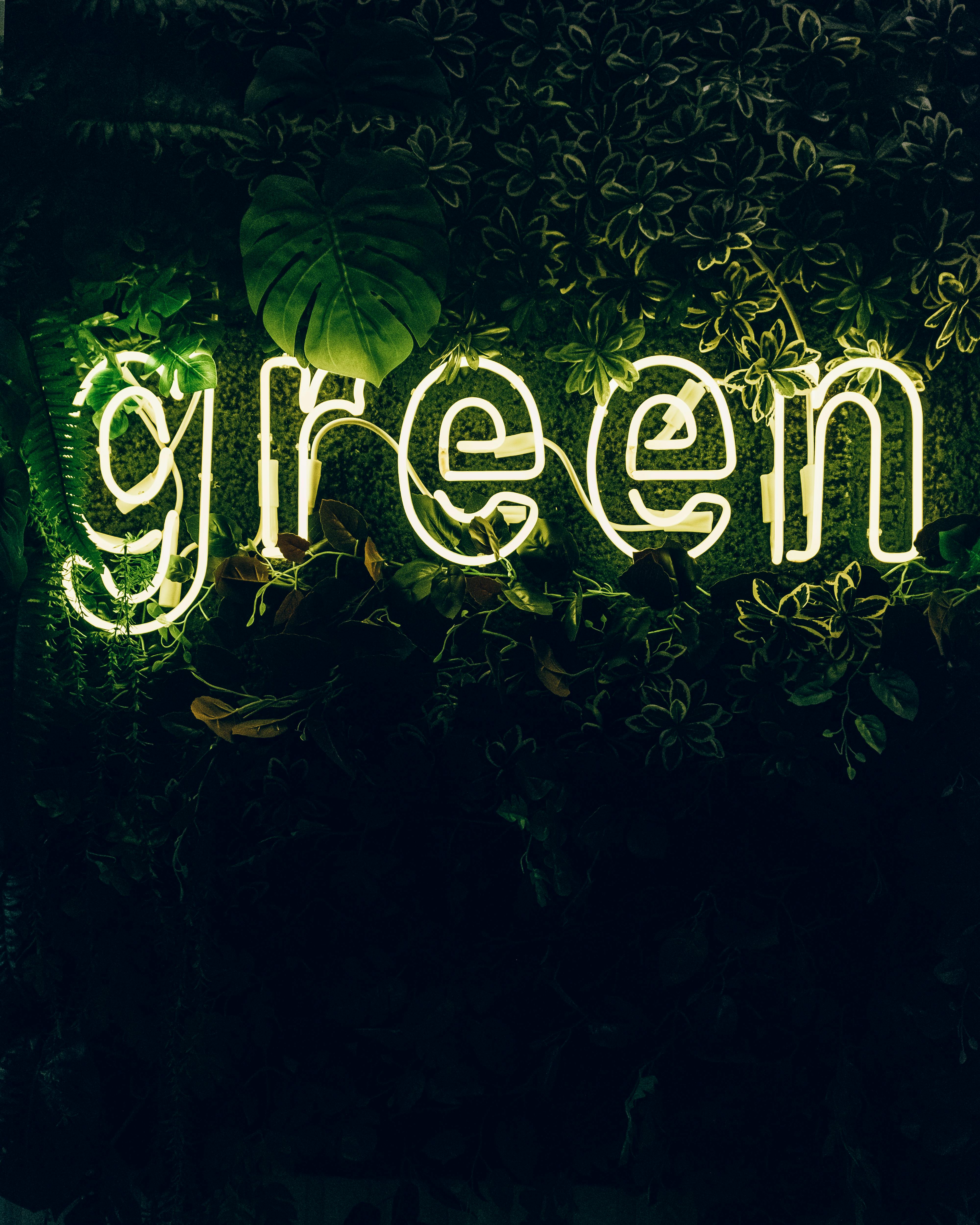 illuminated green sign