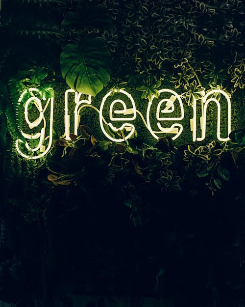 Illuminated Green Sign