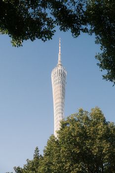 View of Canton Tower in Guangzhou, China, surrounded by trees under a clear blue sky.