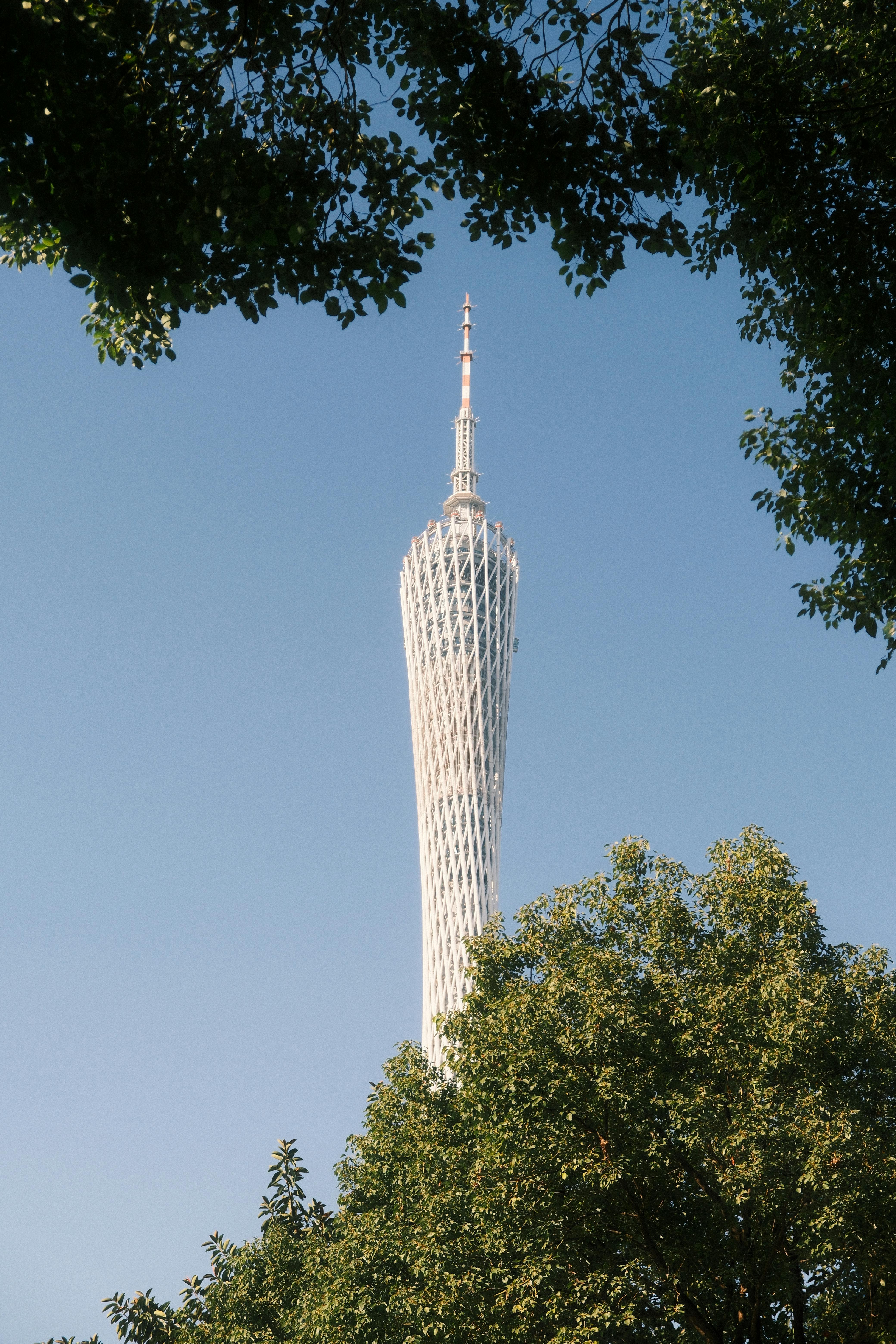 Δωρεάν Άποψη του Πύργου Καντόνα στην Γκουανγκζού της Κίνας, περιτριγυρισμένου από δέντρα κάτω από έναν καθαρό μπλε ουρανό. Φωτογραφία από στοκ φωτογραφιών