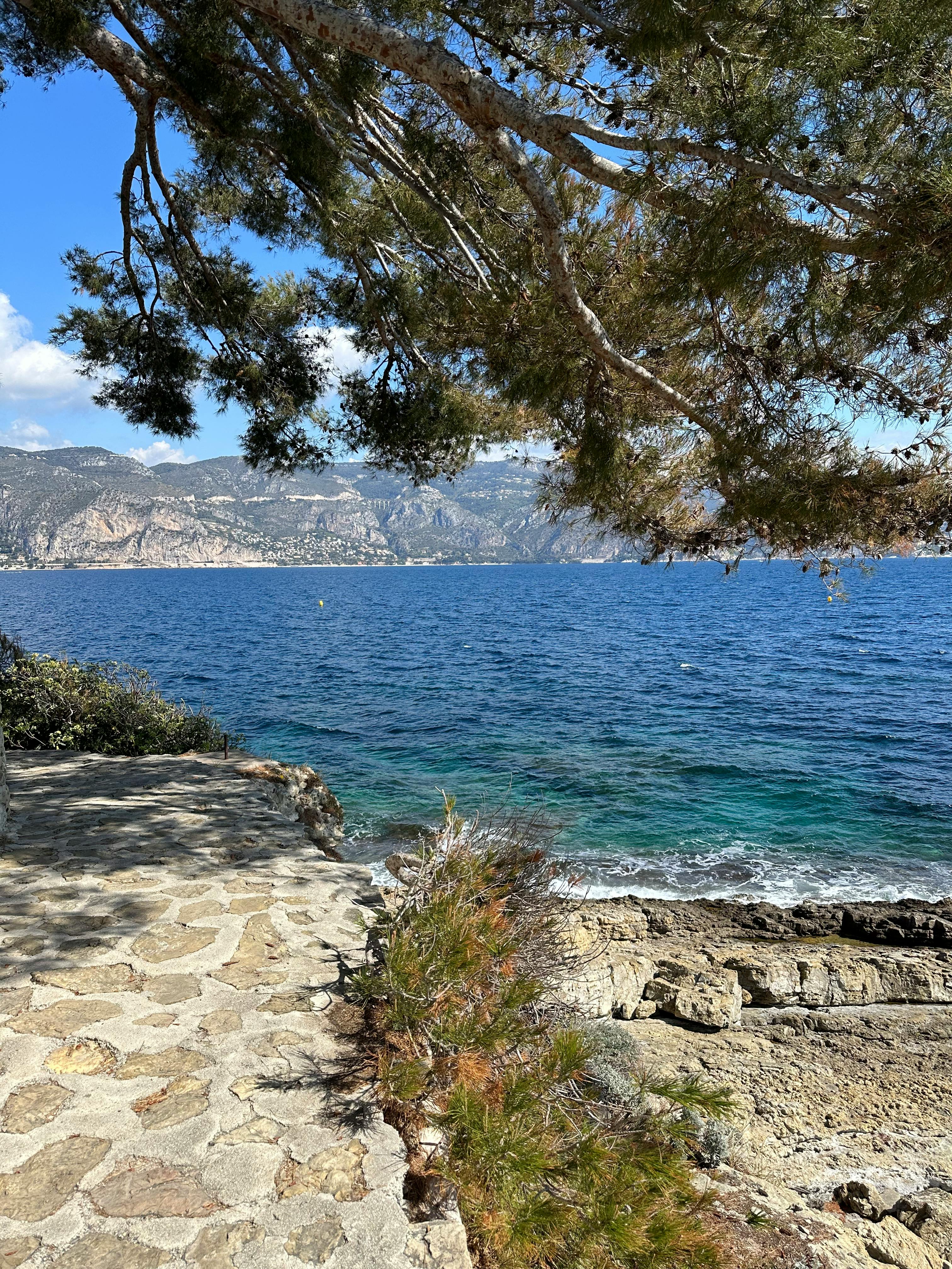 Gratis Naturskøn kystudsigt over Cap d'Ail i den franske riviera med klart blåt hav og forrevne klipper. Lagerfoto