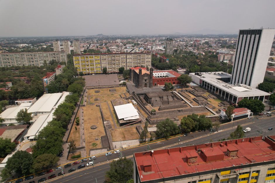 Cultura de lavandă în Oltenia: De la plantare la valorificare prin uleiuri esențiale