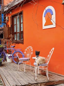 Cozy outdoor terrace with vibrant colors, featuring a cat, vintage bike, and artistic decor in Bursa, Türkiye.
