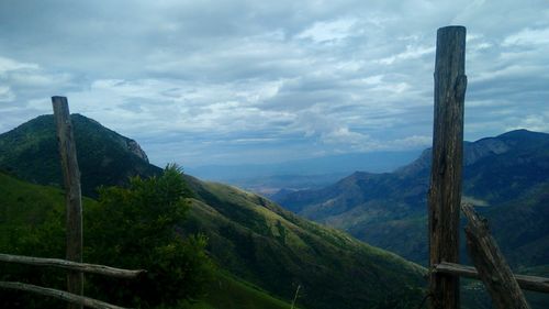 Free stock photo of munnar, valley Stock Photo