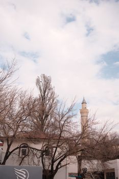 A calm winter scene featuring a mosque tower and bare trees under a cloudy sky.
