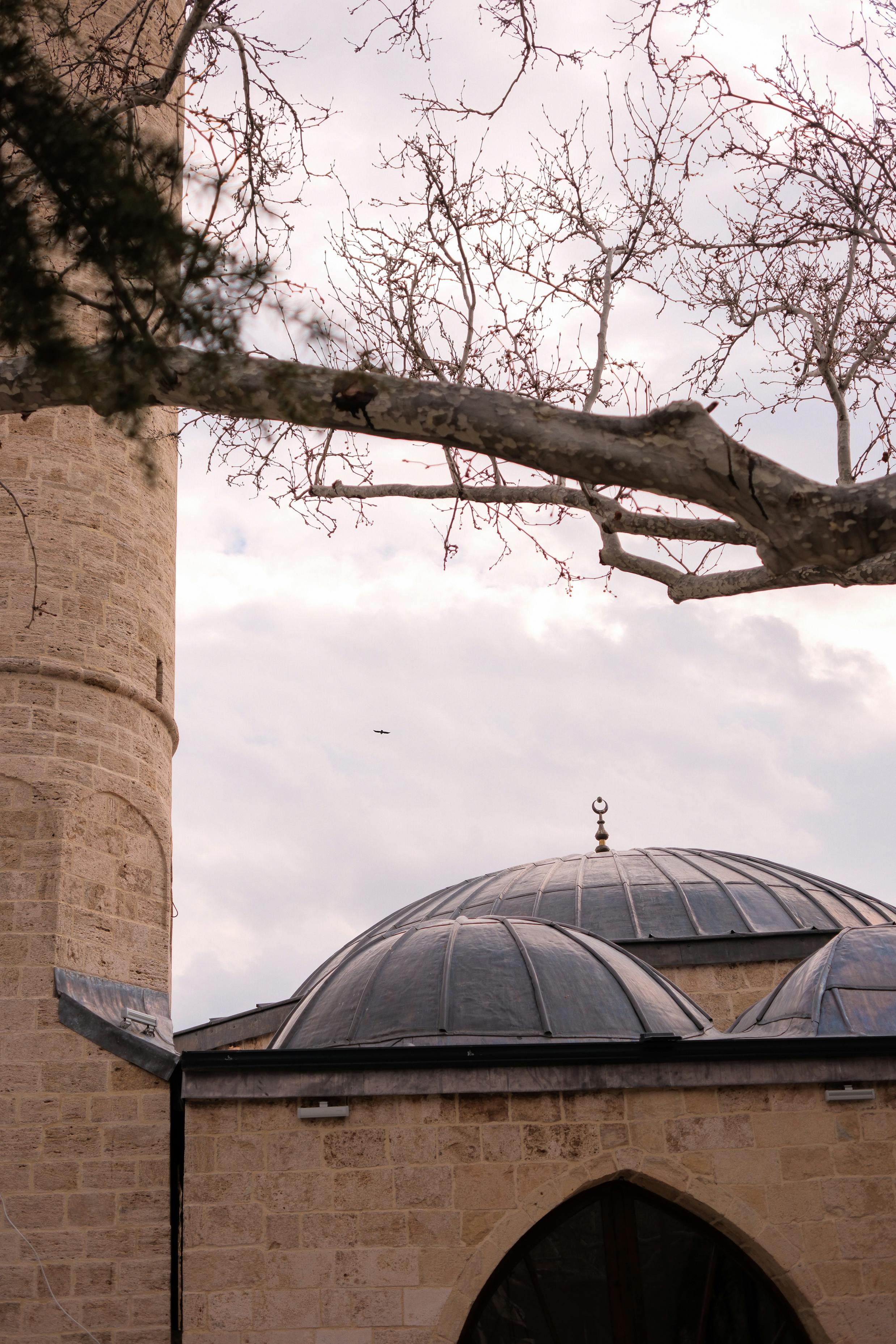 Δωρεάν Μια γαλήνια θέα των τρούλων και του μιναρέ ενός τζαμιού σε ένα χειμερινό τοπίο με γυμνά δέντρα. Φωτογραφία από στοκ φωτογραφιών