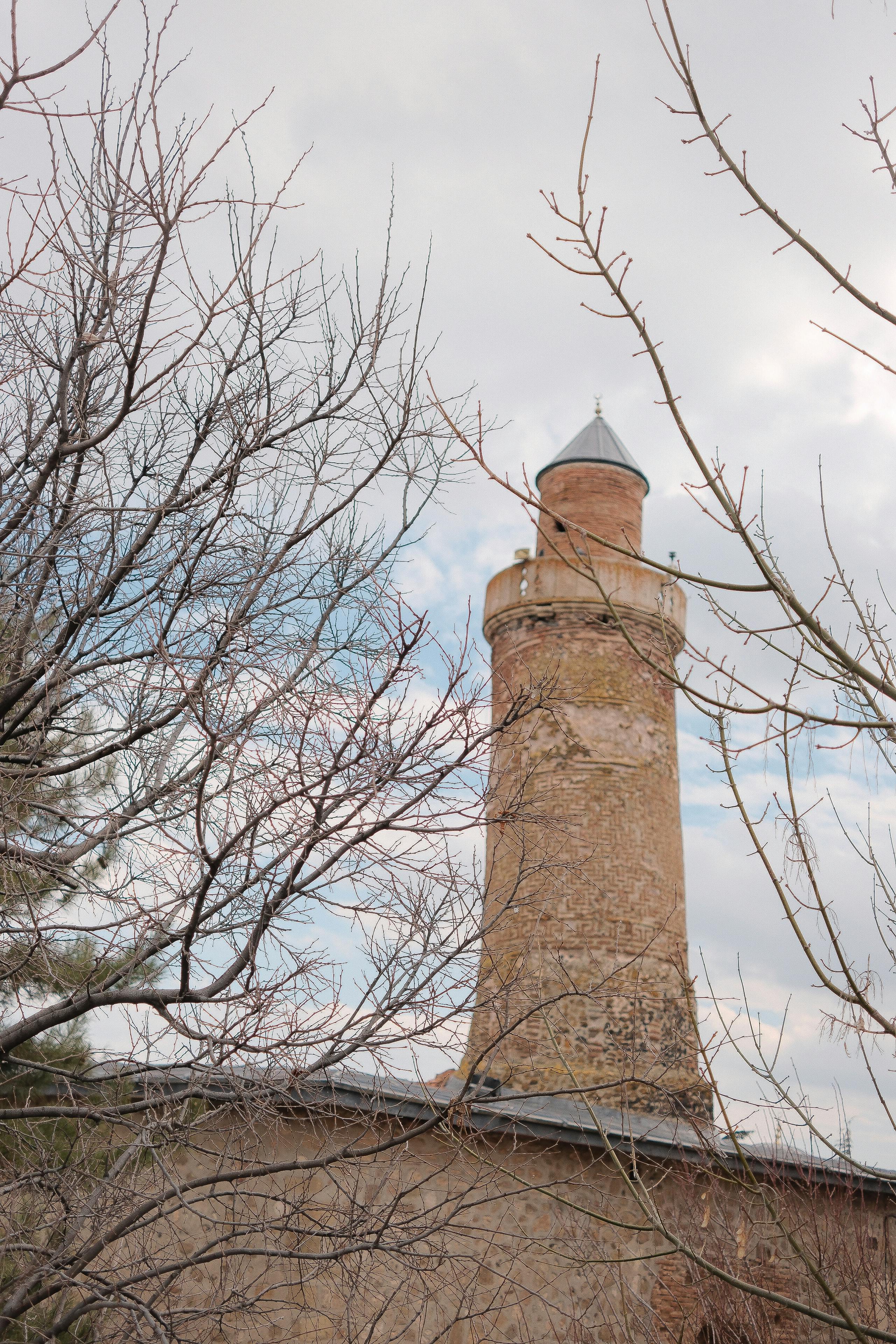Δωρεάν Ένας αρχαίος πέτρινος πύργος πλαισιωμένος από γυμνά κλαδιά κάτω από έναν συννεφιασμένο χειμωνιάτικο ουρανό. Φωτογραφία από στοκ φωτογραφιών