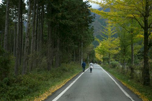 Free A serene walk on a forest road with vibrant fall leaves and two people strolling. Stock Photo