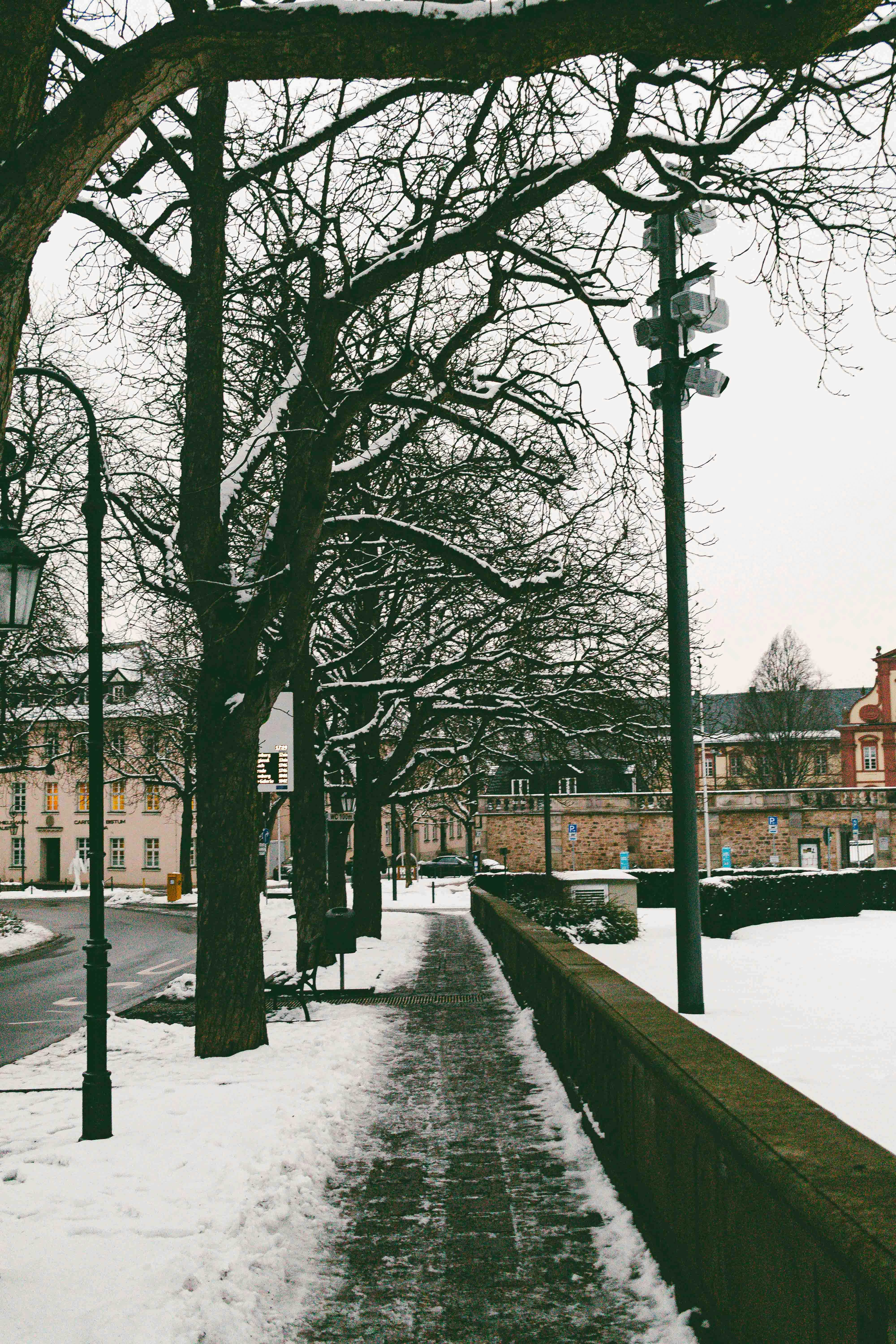 Δωρεάν Μια γαλήνια χειμερινή σκηνή ενός χιονισμένου μονοπατιού γεμάτου δέντρα στο Μπαντ Χέρσφελντ της Γερμανίας. Φωτογραφία από στοκ φωτογραφιών