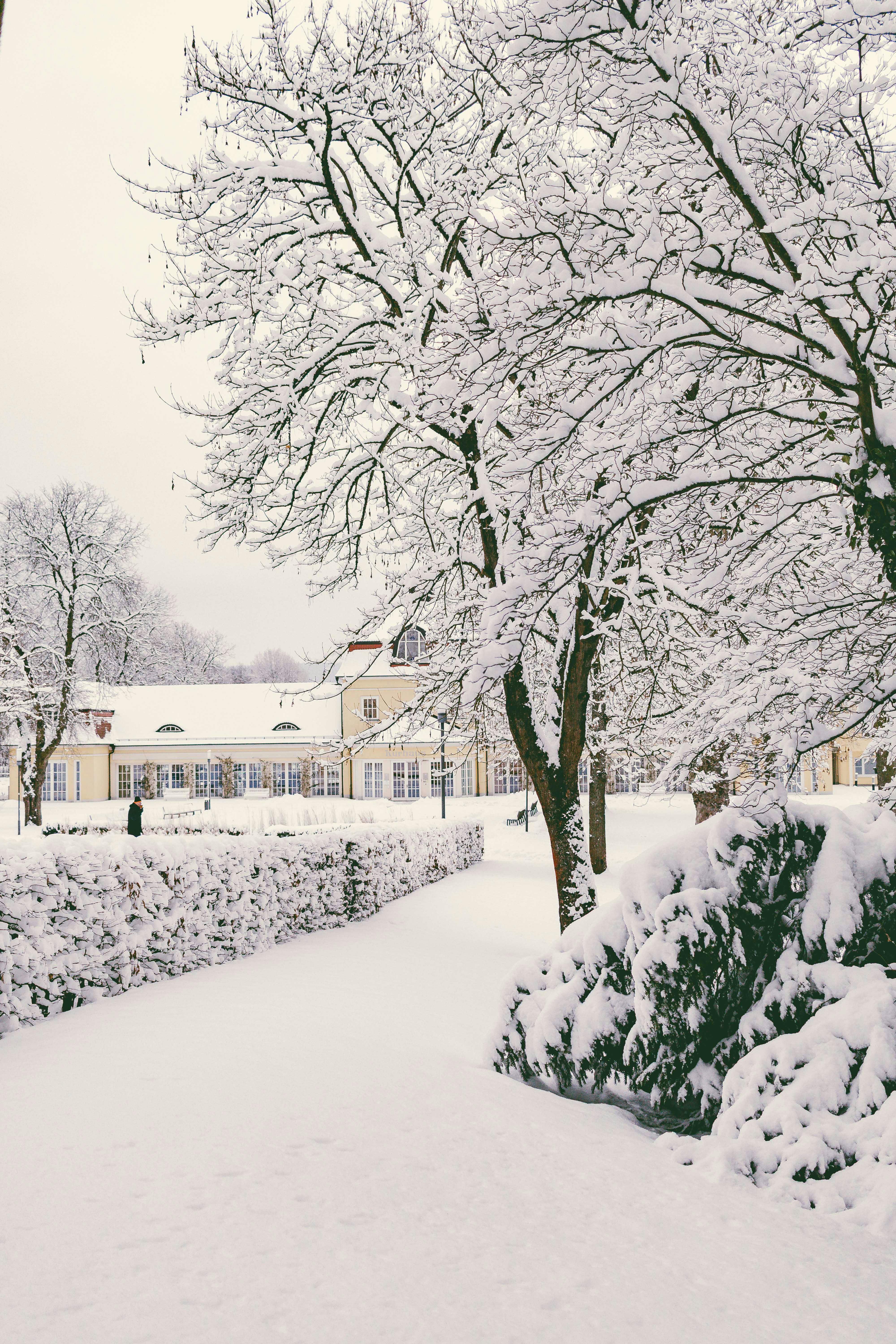 Kostenlos Kostenloses Stock Foto zu bad hersfeld, bäume, chillen Stock-Foto