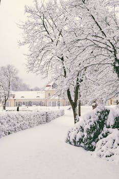 A serene snowy scene in Bad Hersfeld, Germany with frosted trees and a peaceful pathway.