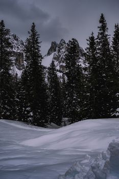 Captivating snowy mountain landscape with towering pine trees in winter setting.