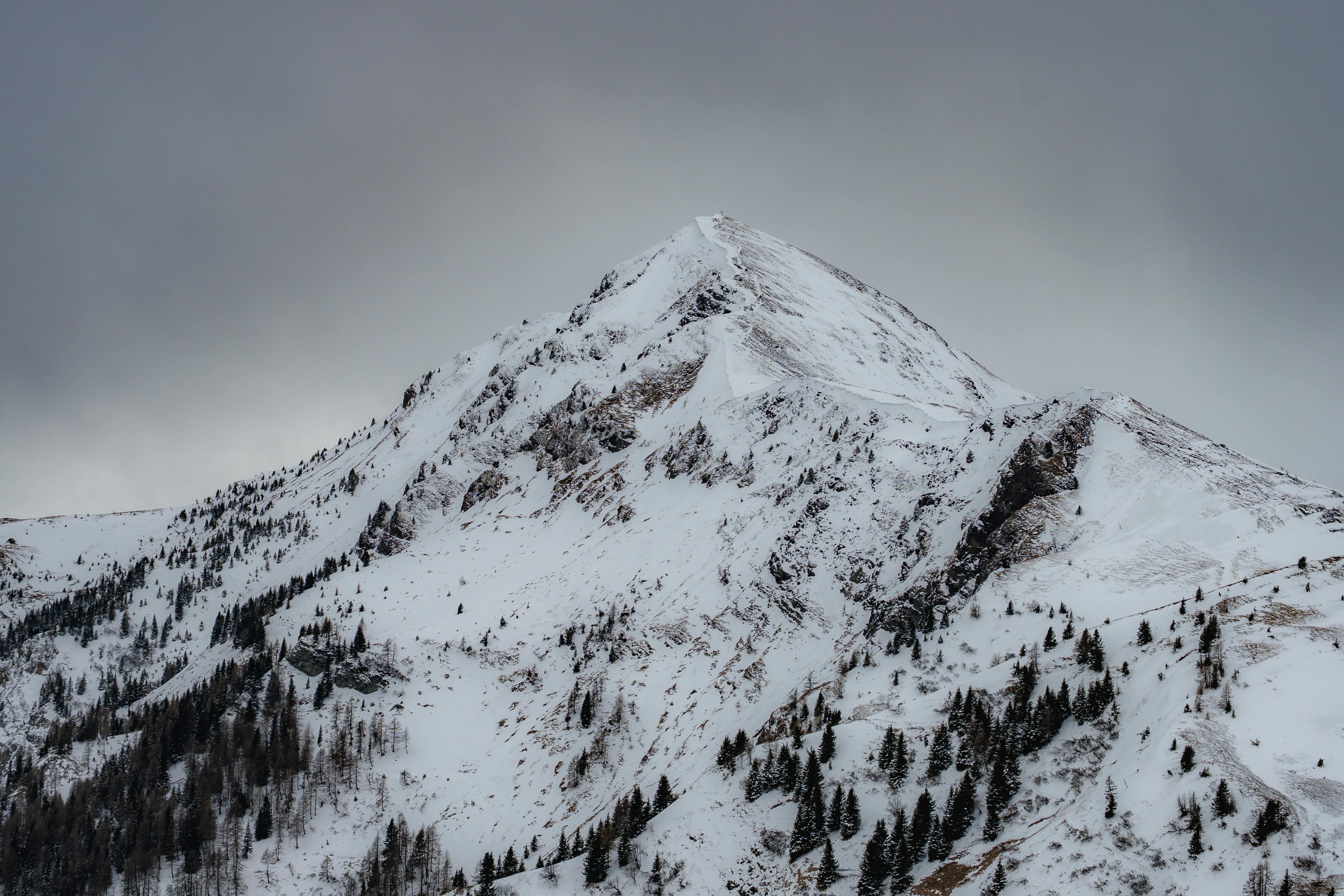 Δωρεάν Μεγαλοπρεπής χιονισμένη βουνοκορφή περιτριγυρισμένη από δέντρα κάτω από έναν μουντό γκρίζο ουρανό. Φωτογραφία από στοκ φωτογραφιών