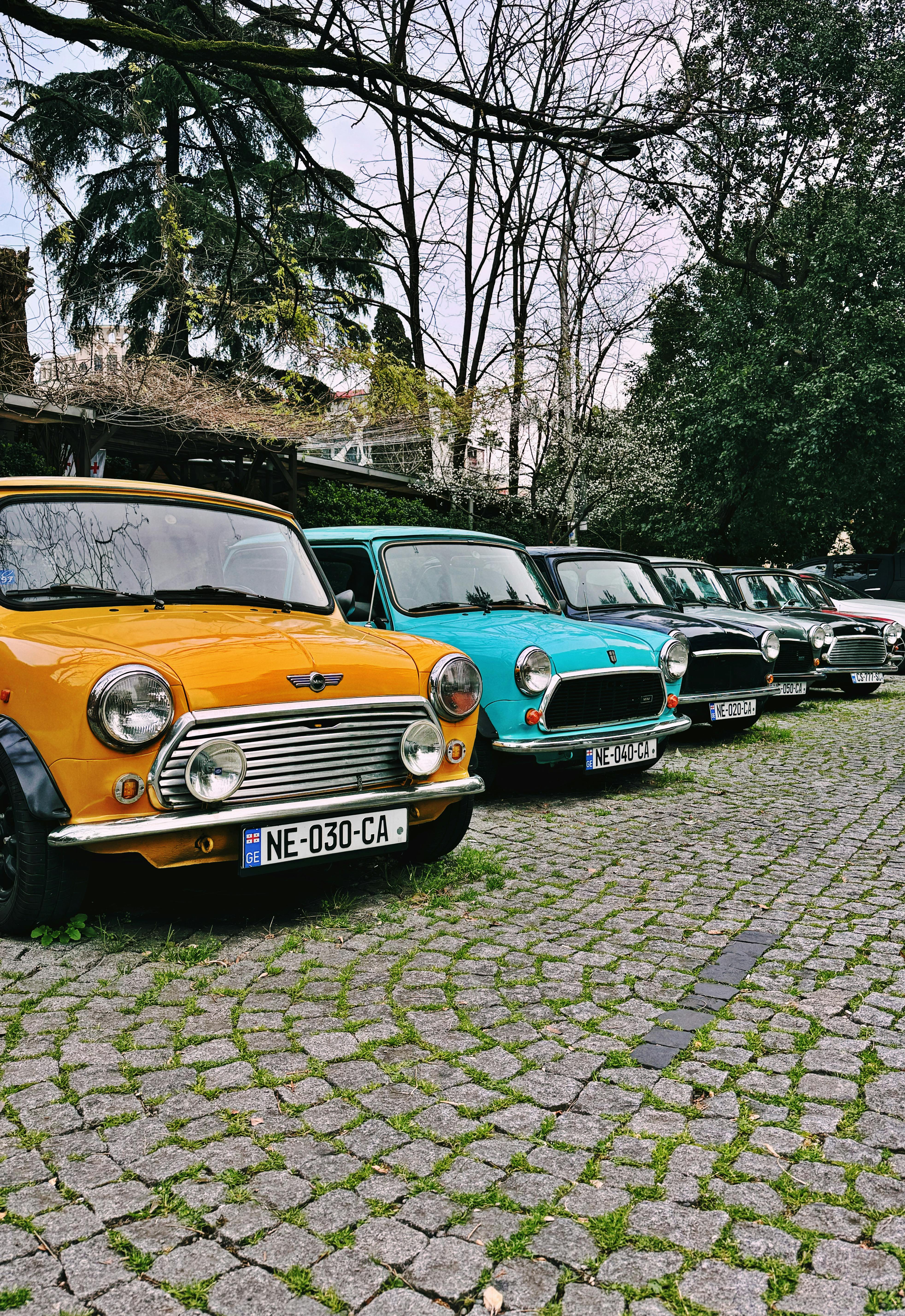 Kostenlos Kostenloses Stock Foto zu alte zeiten, artvin, autoenthusiasten Stock-Foto