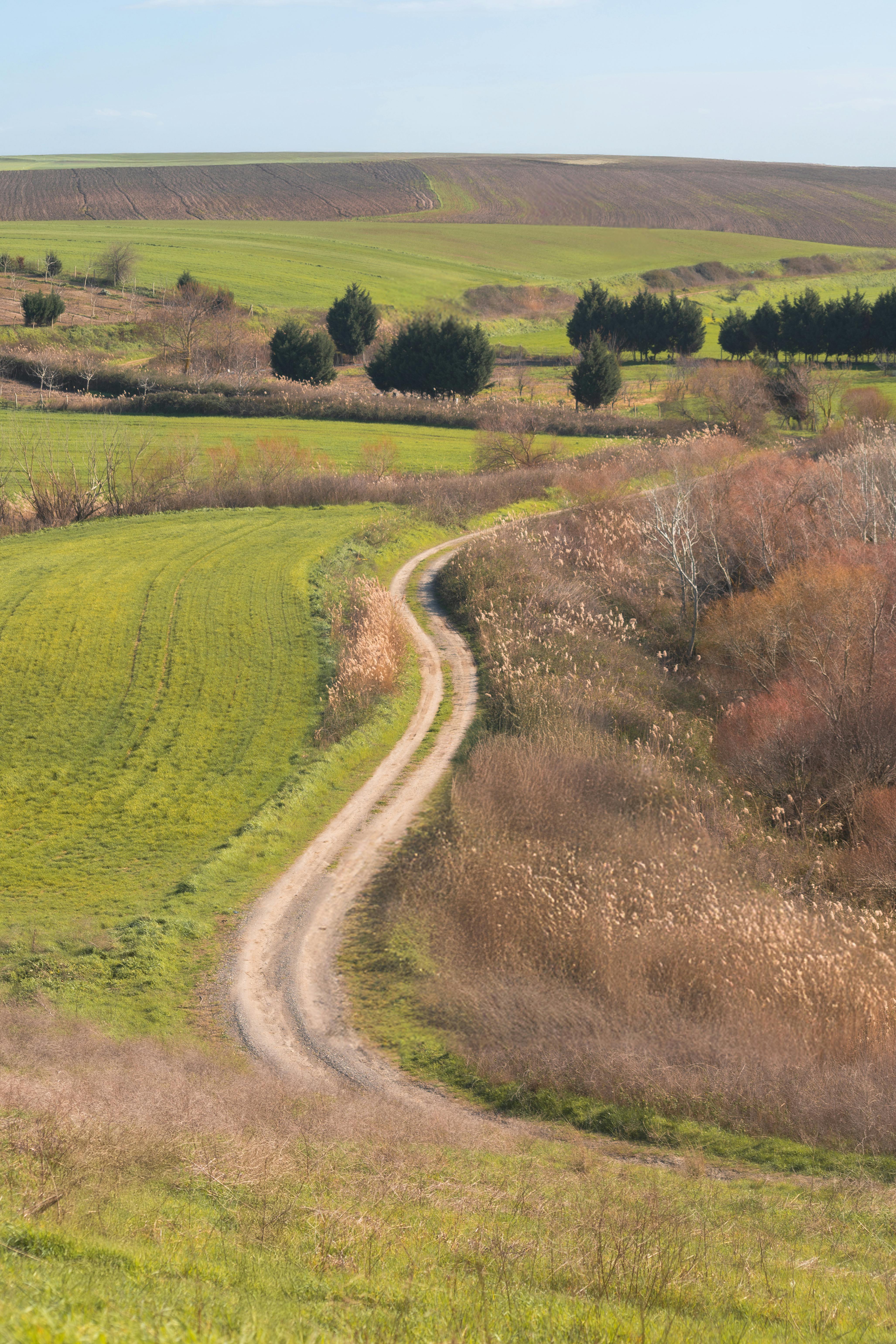 Δωρεάν Όμορφο ελικοειδές μονοπάτι μέσα από μια γαλήνια φθινοπωρινή εξοχή με πλούσια βλάστηση. Φωτογραφία από στοκ φωτογραφιών
