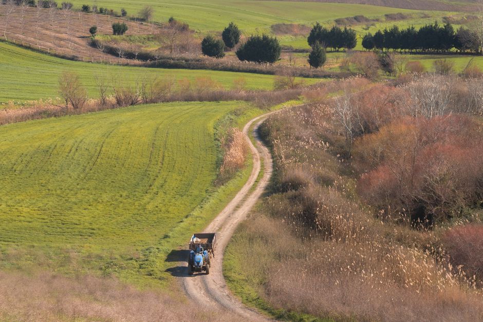Un paisaje rural sereno con un tractor solitario en un camino sinuoso en un paisaje otoñal.