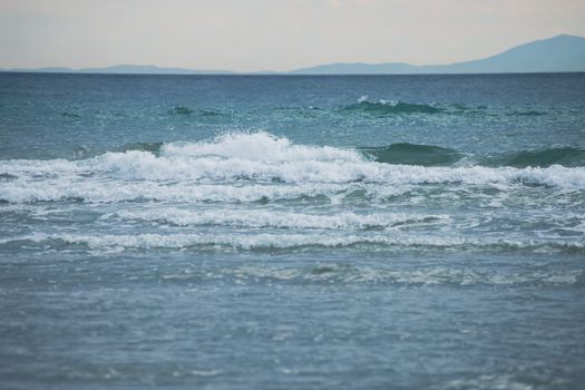 mare