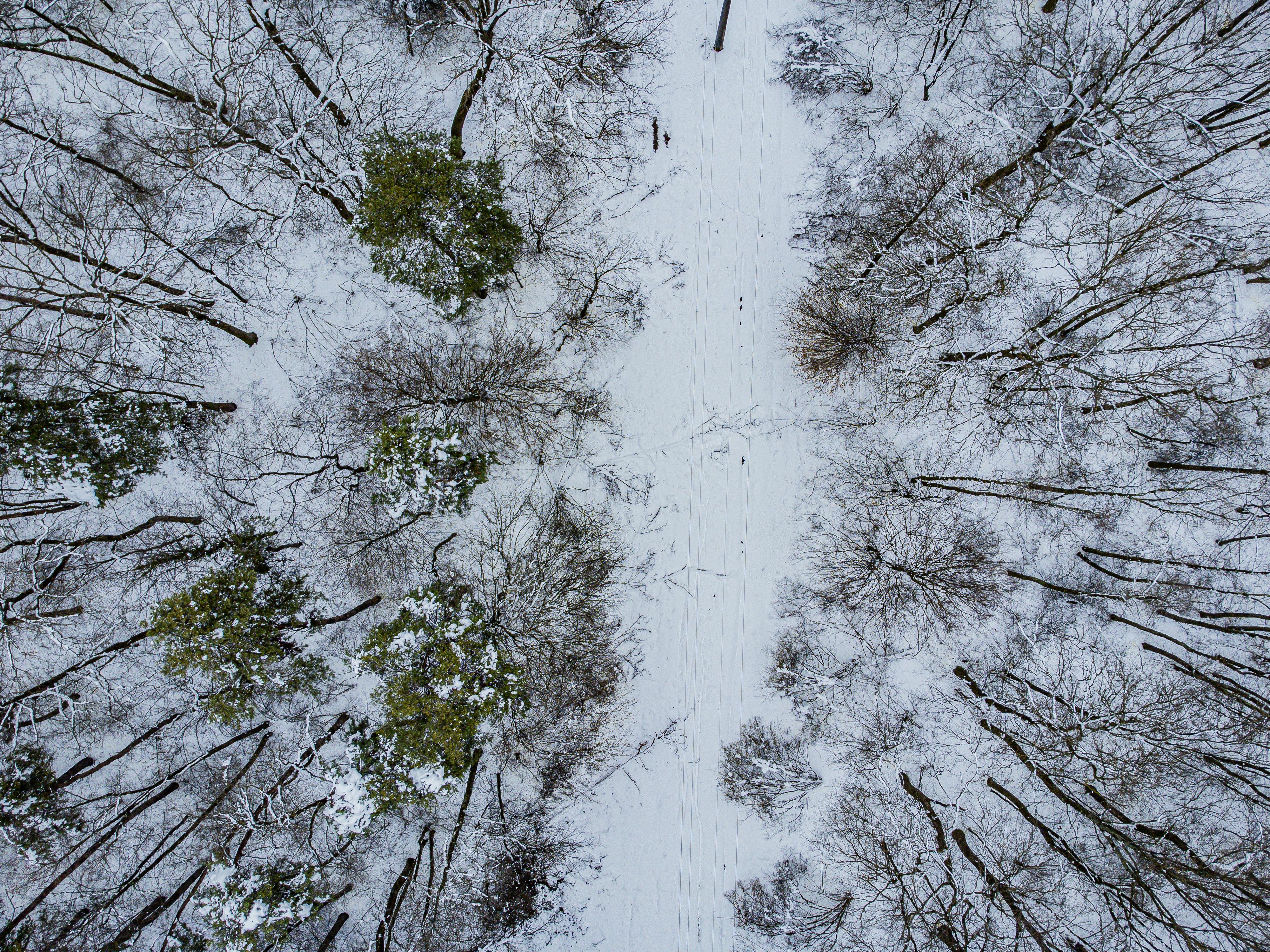 Δωρεάν Μια γαλήνια εναέρια θέα ενός χιονισμένου δάσους με ένα μονοπάτι που το διασχίζει, τραβηγμένη κατά τη διάρκεια του χειμώνα. Φωτογραφία από στοκ φωτογραφιών