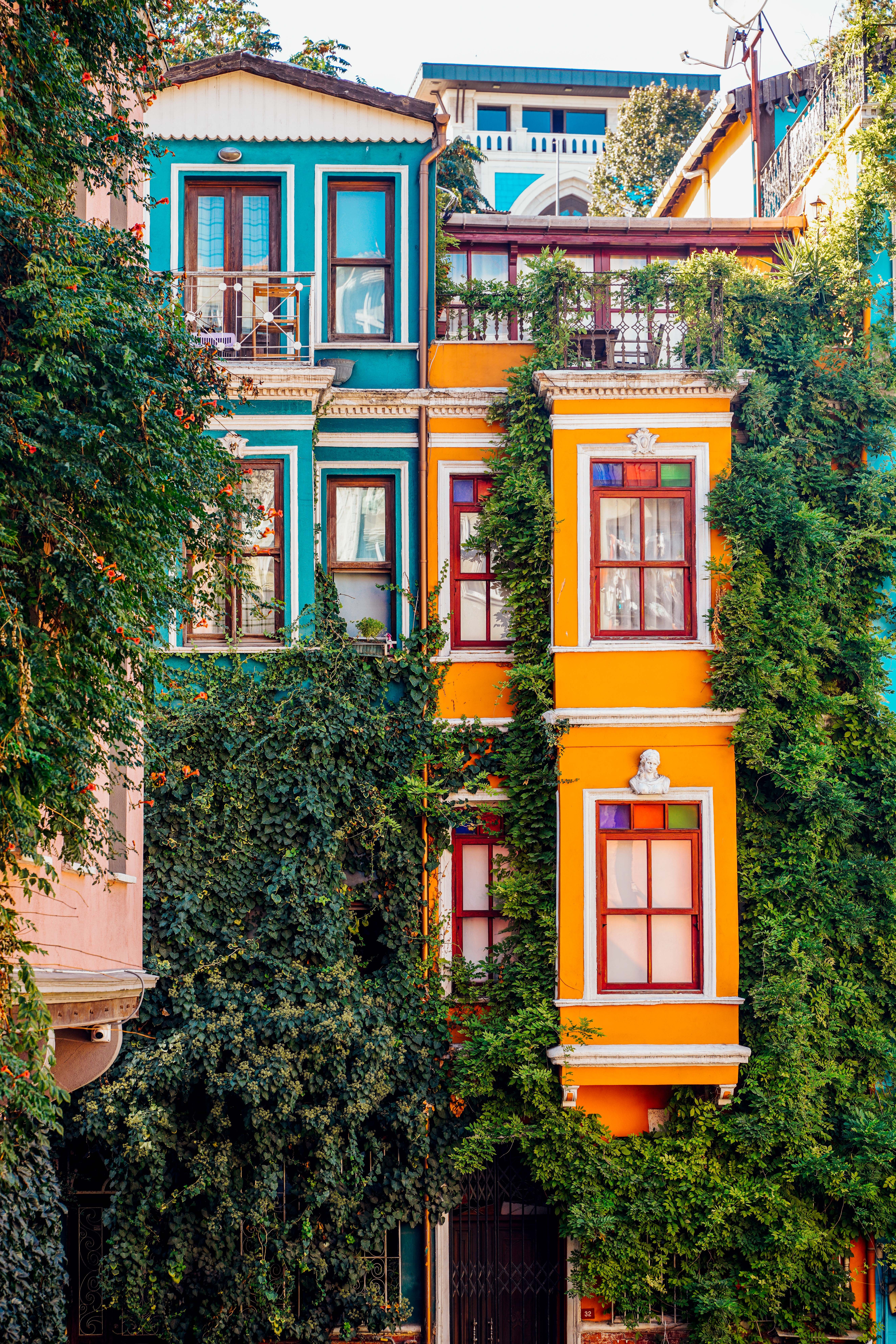Colorful Building Facade with Lush Greenery · Free Stock Photo