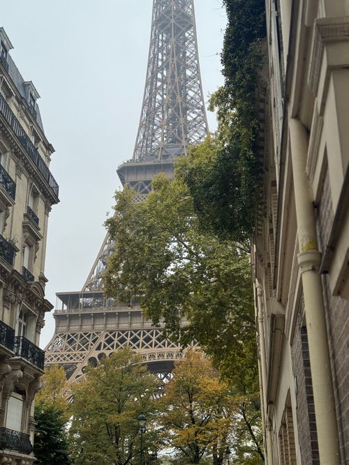 Free View of the Eiffel Tower from a Parisian street framed by autumn trees. Iconic landmark. Stock Photo
