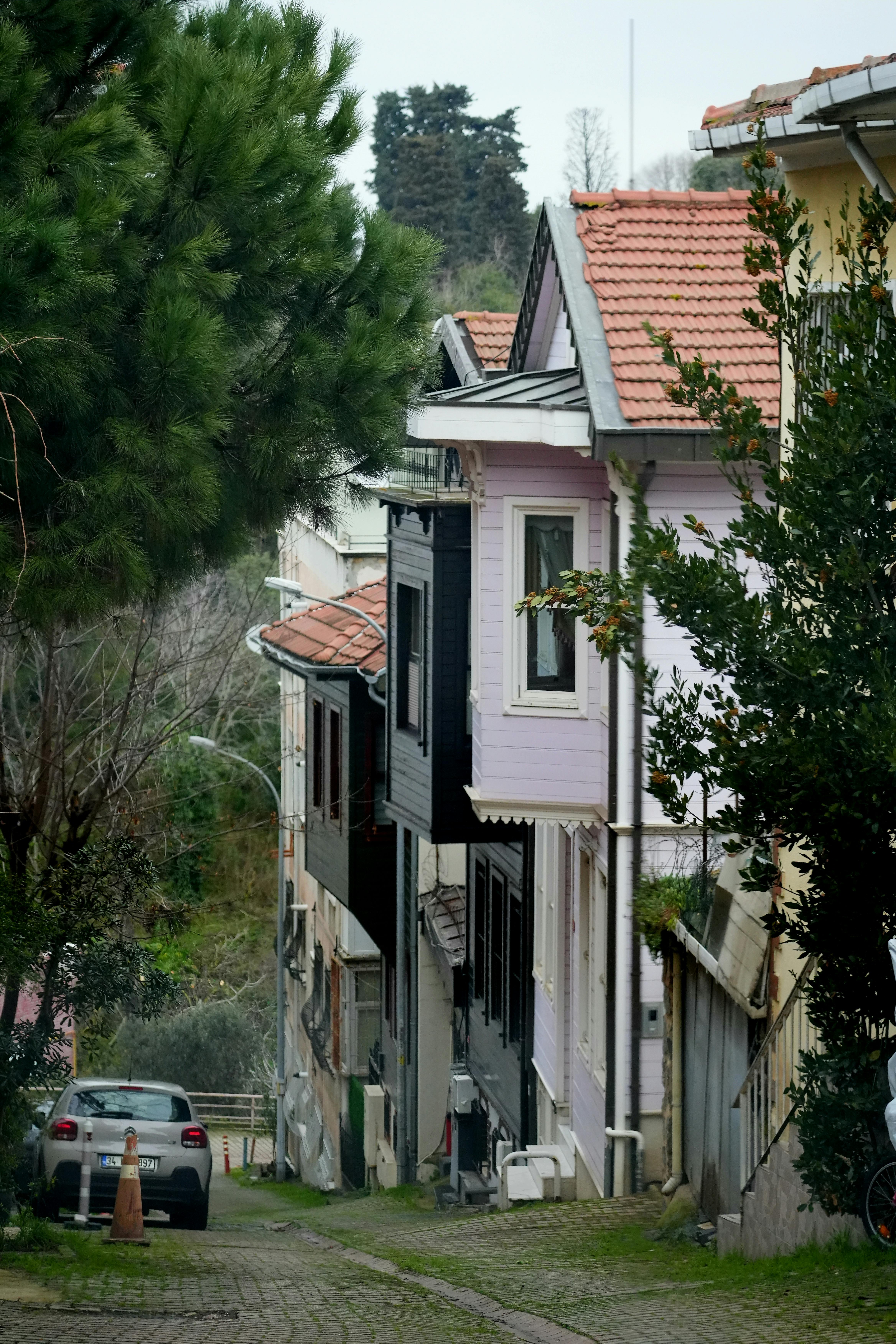 Δωρεάν Γραφικός δρόμος στην Κωνσταντινούπολη με πολύχρωμα παραδοσιακά σπίτια, πλούσια βλάστηση και γαλήνια ατμόσφαιρα. Φωτογραφία από στοκ φωτογραφιών