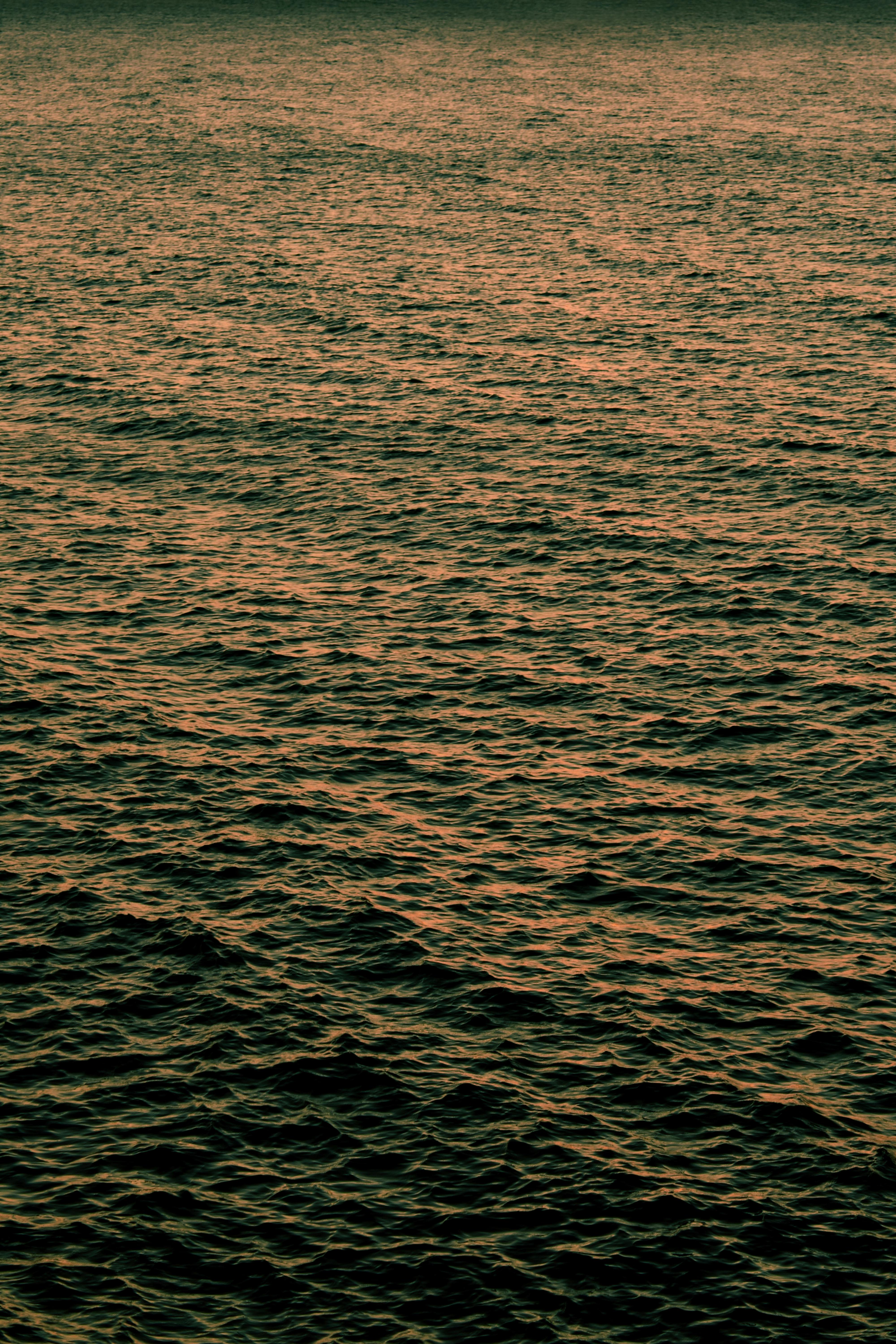 De franc Foto d'estoc gratuïta de a l'aire lliure, acomiadar-se, aigua Foto d'estoc