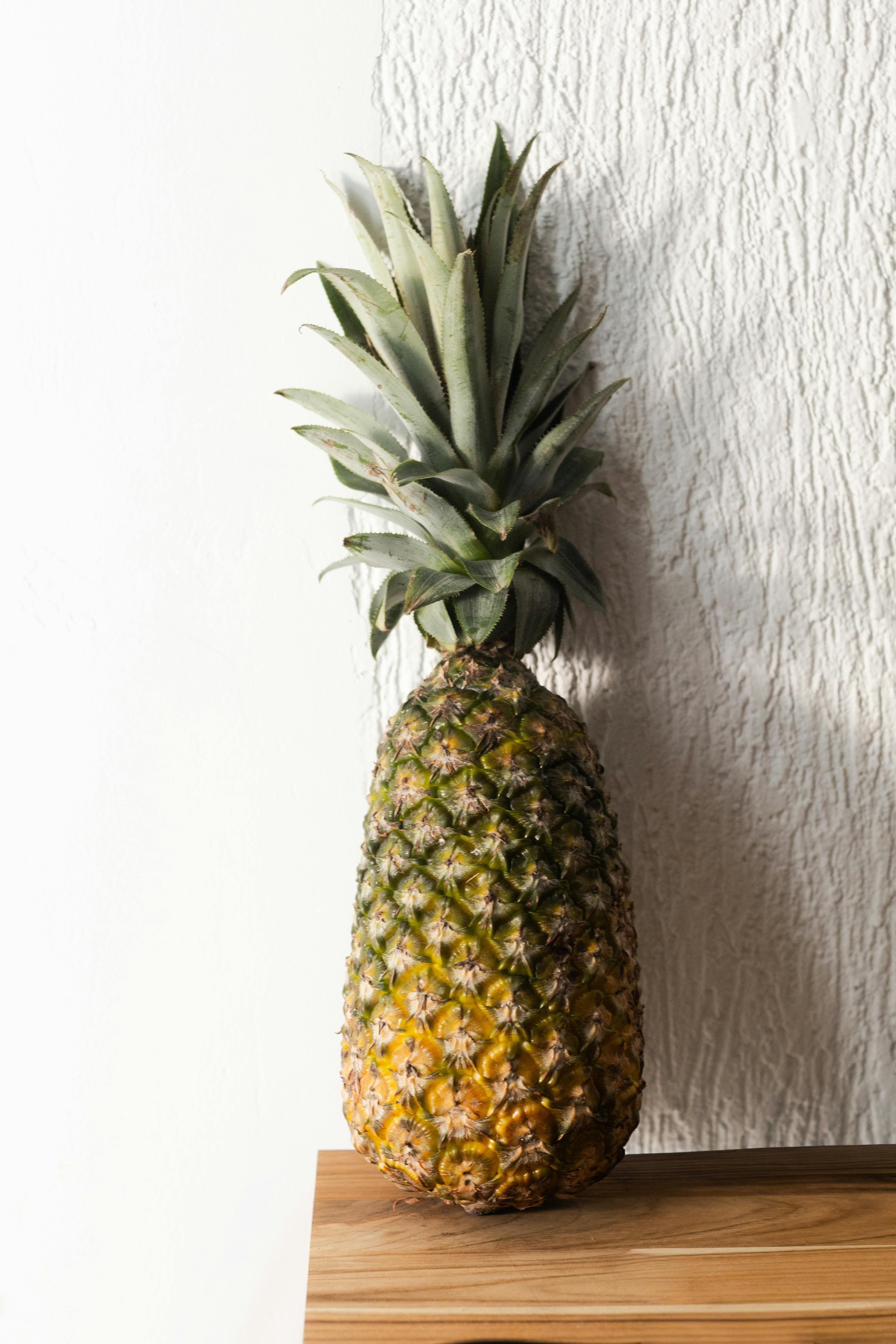 Gratis arkivbilde med ananas, ananas comosus, brasil Arkivbilde