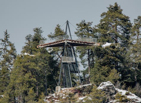 A viewpoint tower surrounded by snowy trees offering a scenic winter landscape view.