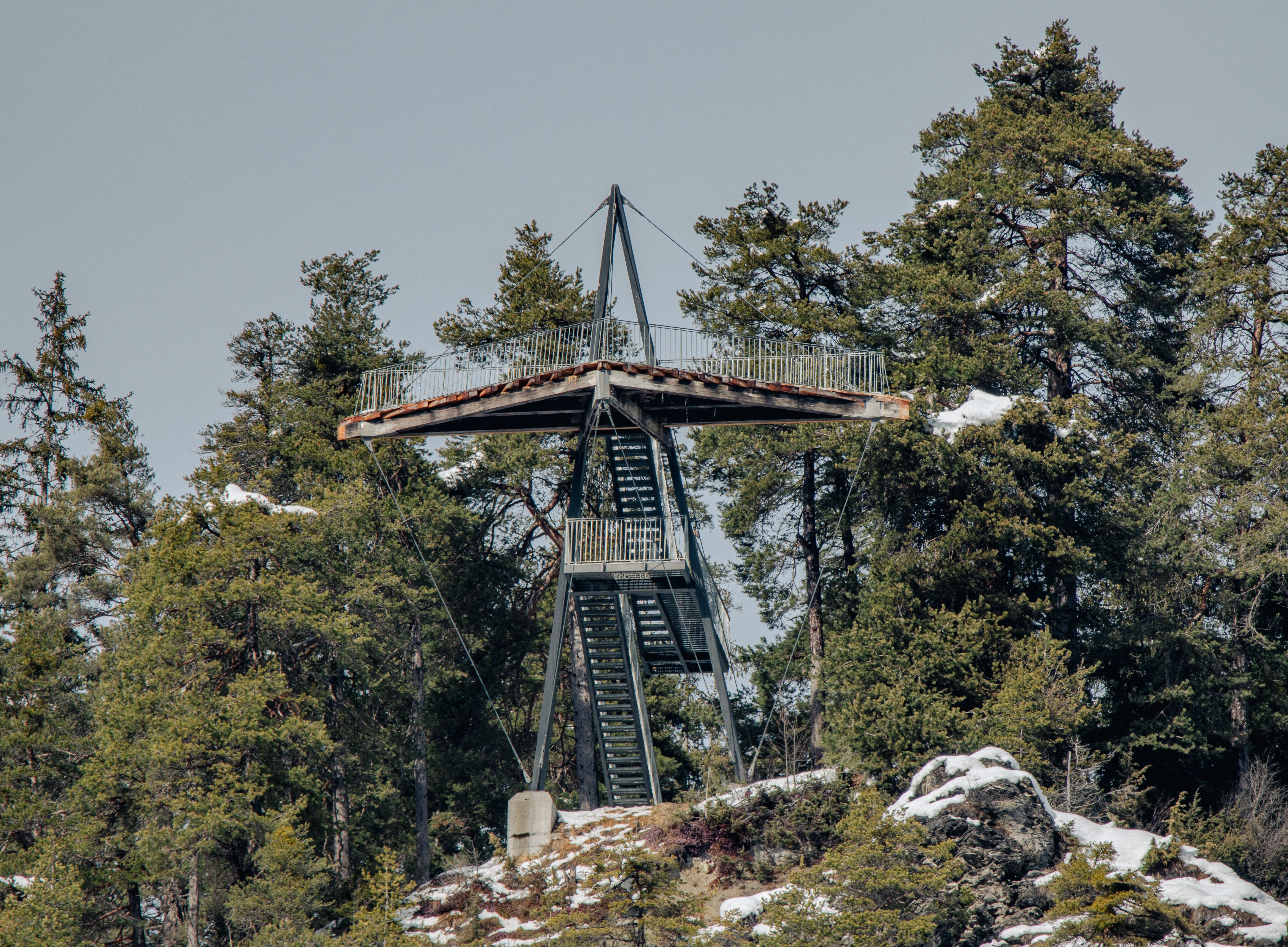 Scenic Winter Viewpoint Tower in Snowy Forest · Free Stock Photo