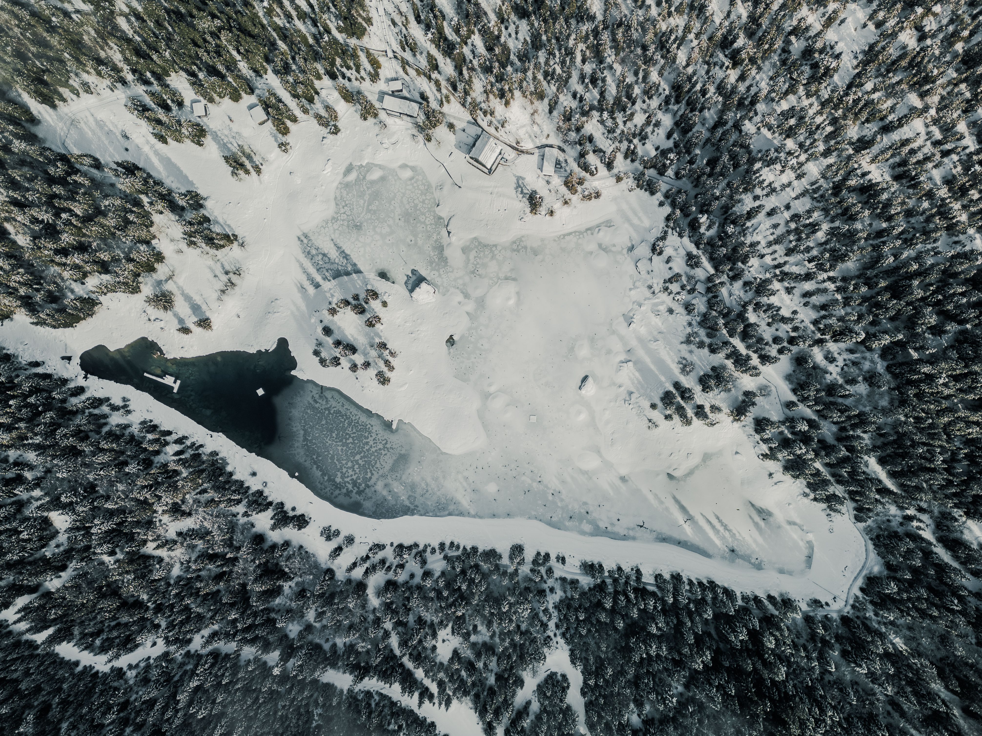 Aerial Winter Landscape of Snowy Forest · Free Stock Photo