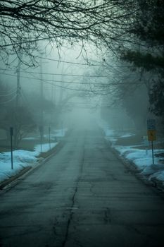 A foggy street scene in winter with snow and bare trees lining the misty road.